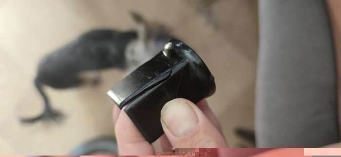 Фотография покупателя товара Подставка с мисками, 2×1.5 л, высота 50 см, разборная, зелёная - Фото 4