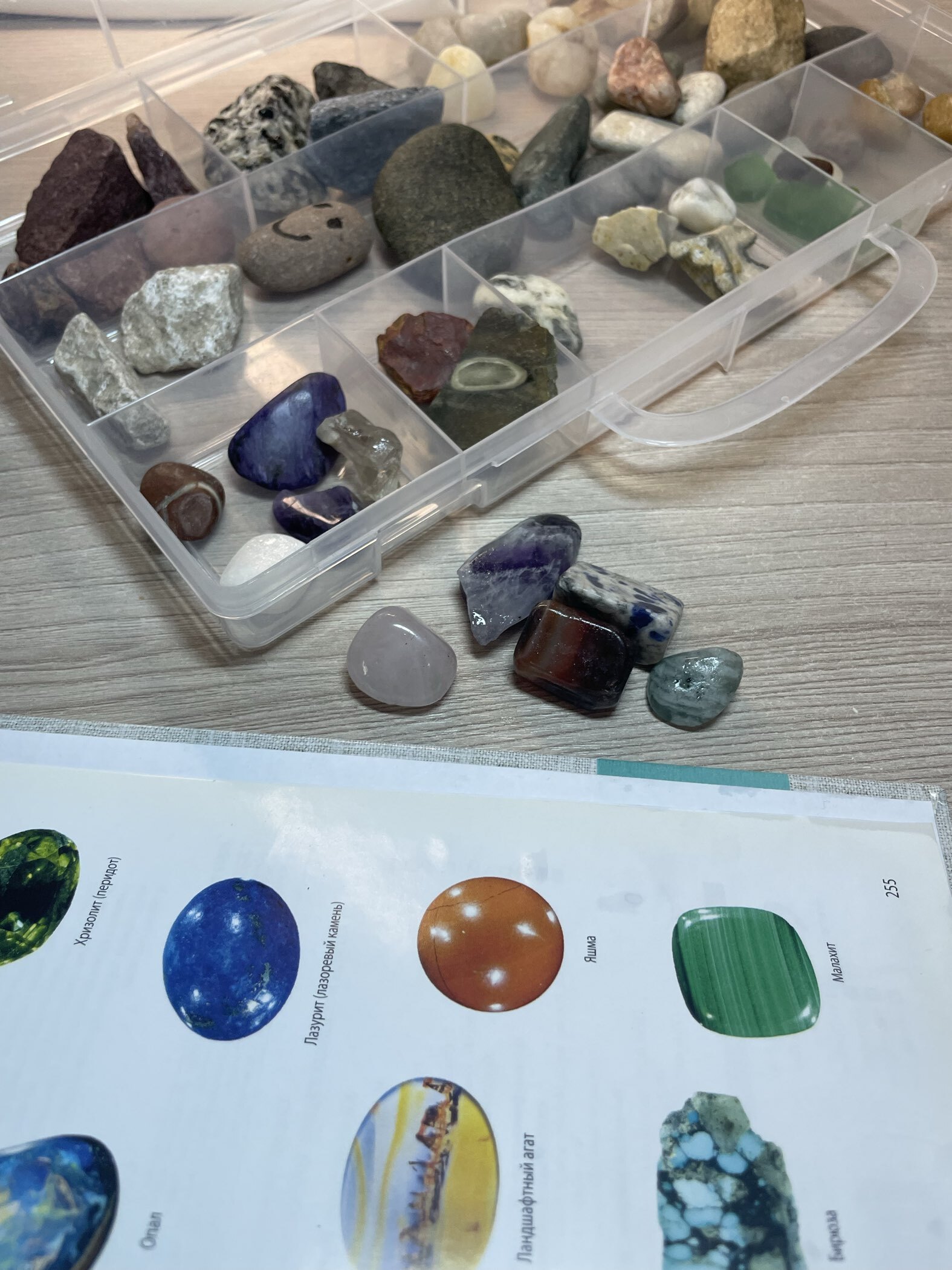 Фотография покупателя товара Раскопки «Секреты вулкана», набор: кость, долото, вулканические камни - Фото 5