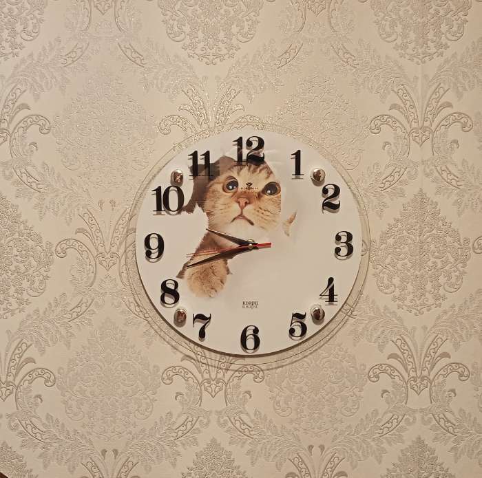 Фотография покупателя товара Часы настенные, интерьерные: Животный мир, "Кот", d-30 см, бесшумные - Фото 2
