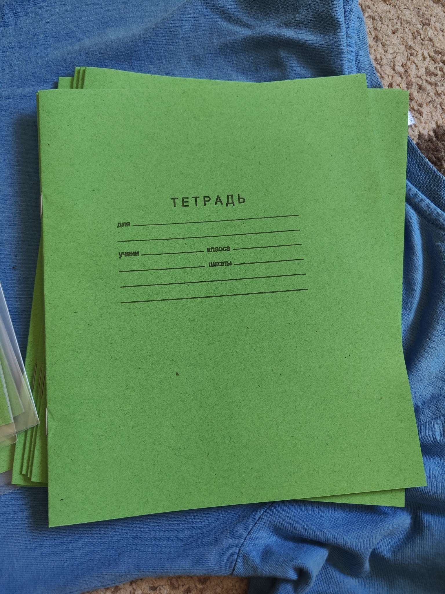 Фотография покупателя товара Набор тетрадей «Зелёная обложка» 20 штук, 24 листа в клетку, эконом, плотность 60 г/м² - Фото 19