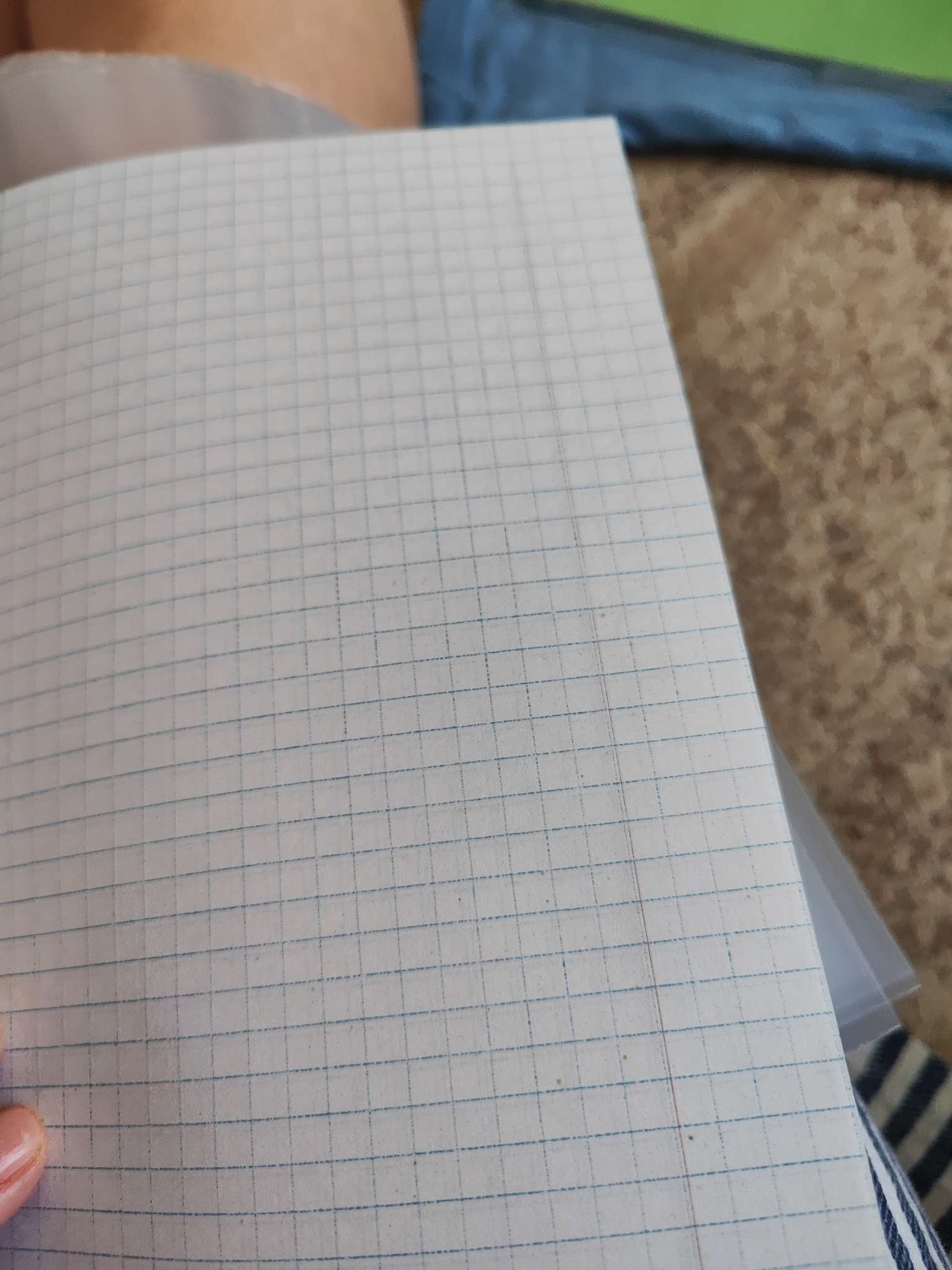 Фотография покупателя товара Набор тетрадей «Зелёная обложка» 20 штук, 24 листа в клетку, эконом, плотность 60 г/м² - Фото 20