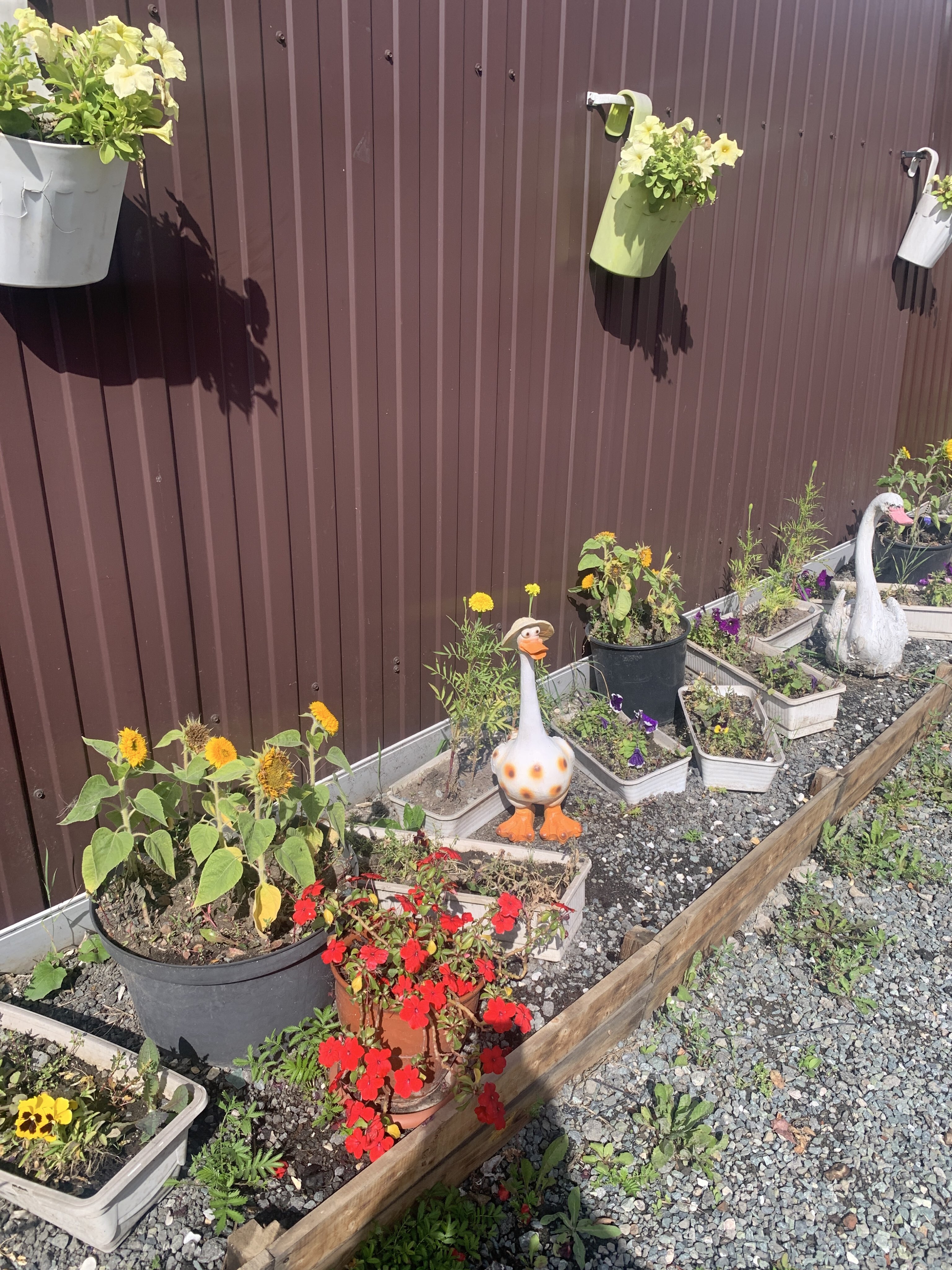 Фотография покупателя товара Садовая фигура из полистоуна «Гусь в шляпе малый», 50×27×20 см - Фото 1