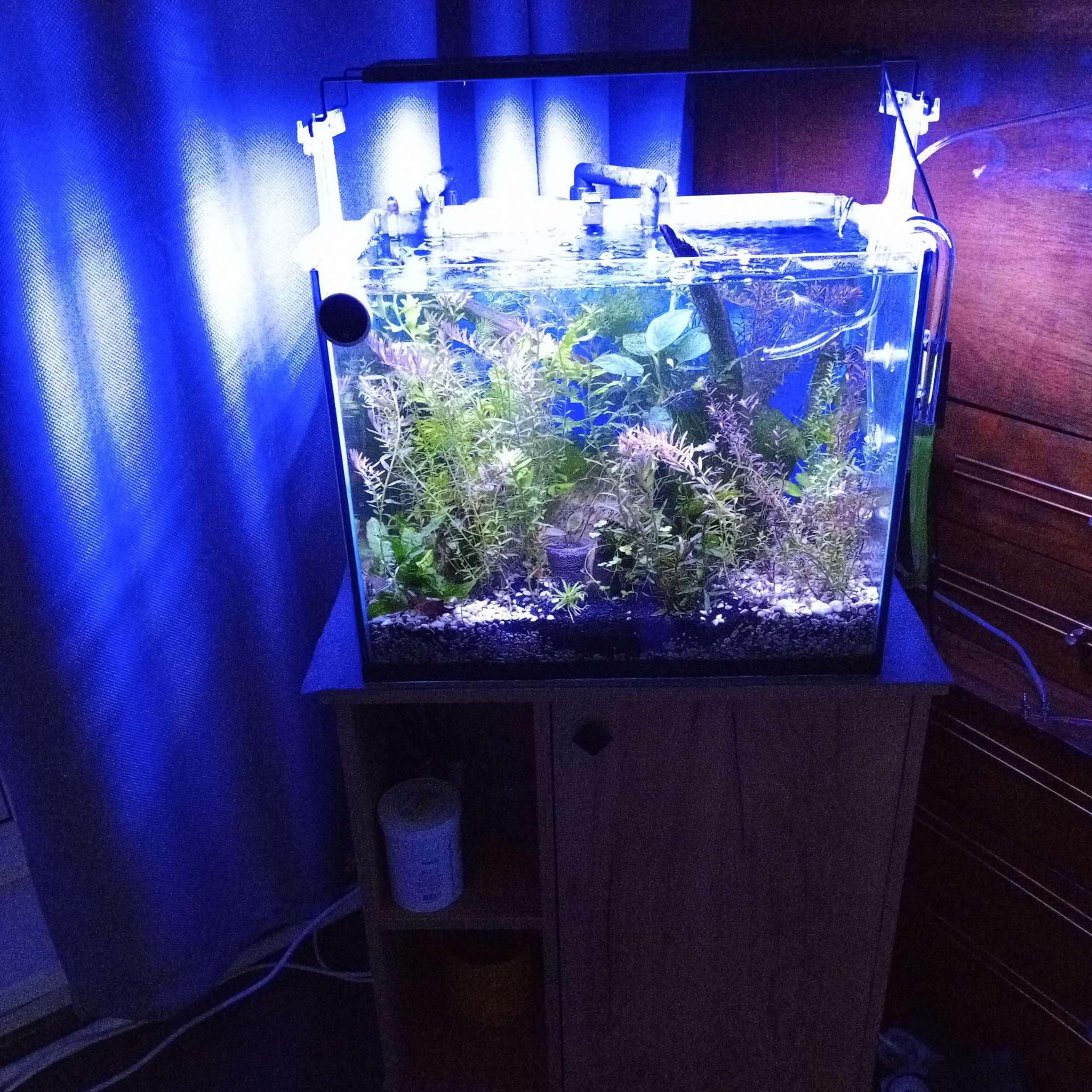 Фотография покупателя товара Аквариум «Прямоугольный» без крышки, 60 л, 56×29×36 см - Фото 4