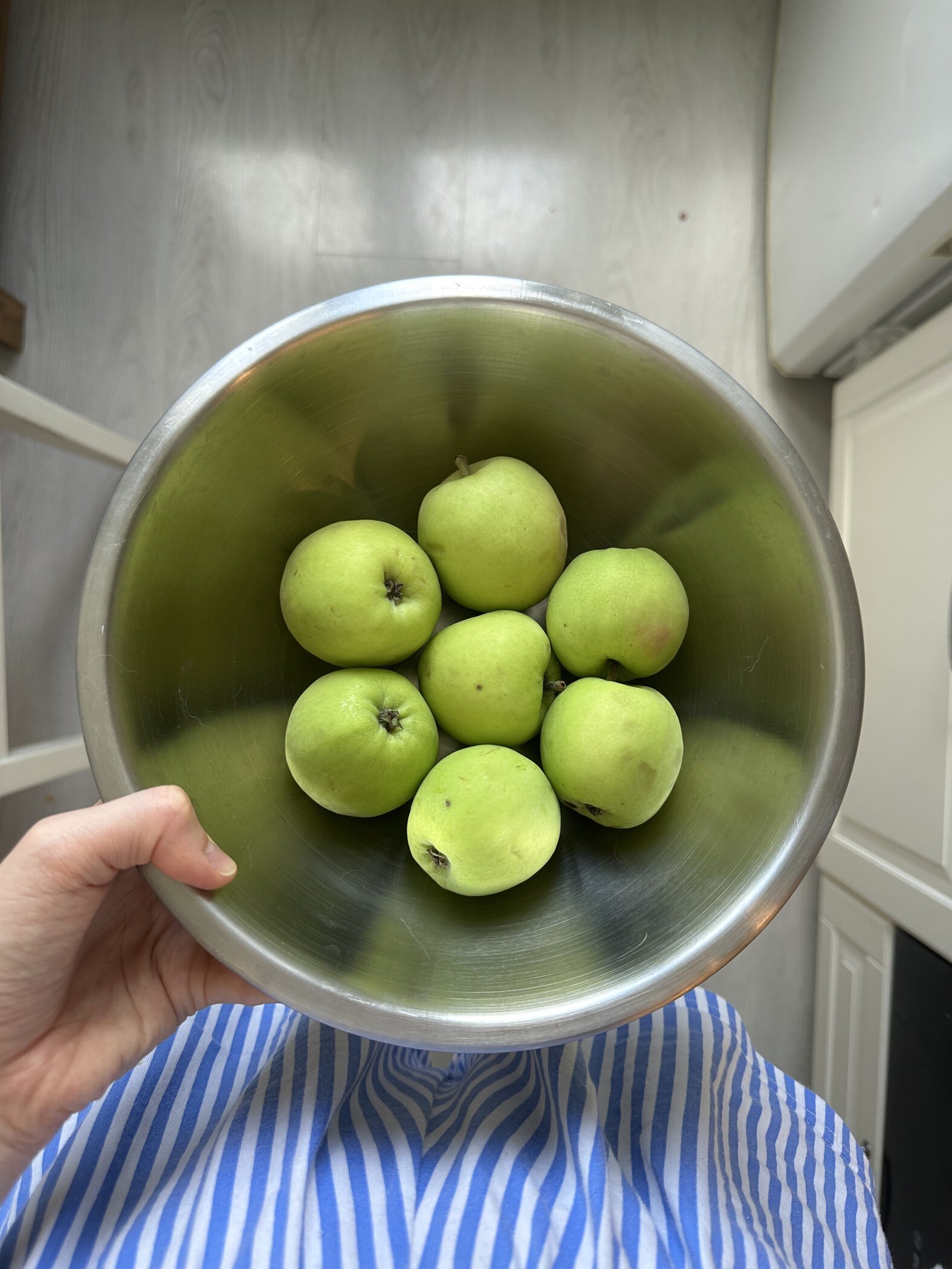 Фотография покупателя товара Миска Hanna Knövell, 3.1 л, d=26 см, толщина 0.4-0.5 мм, нержавеющая сталь - Фото 2