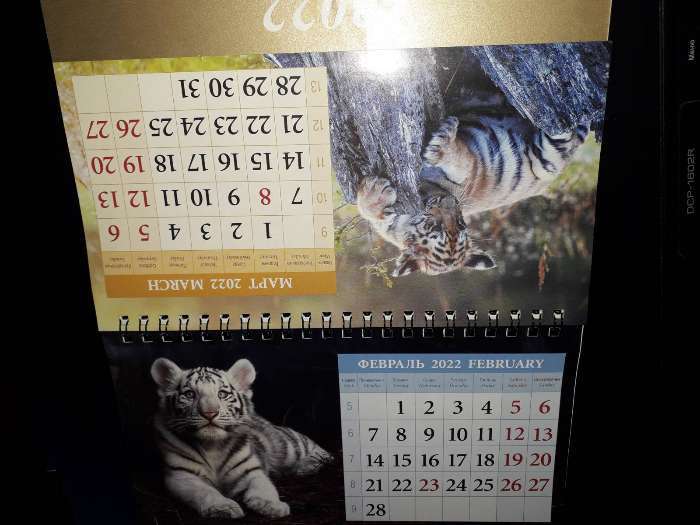 Фотография покупателя товара Календарь домик "Символ года. Вид 2" 2022 год, 20х14 см - Фото 3