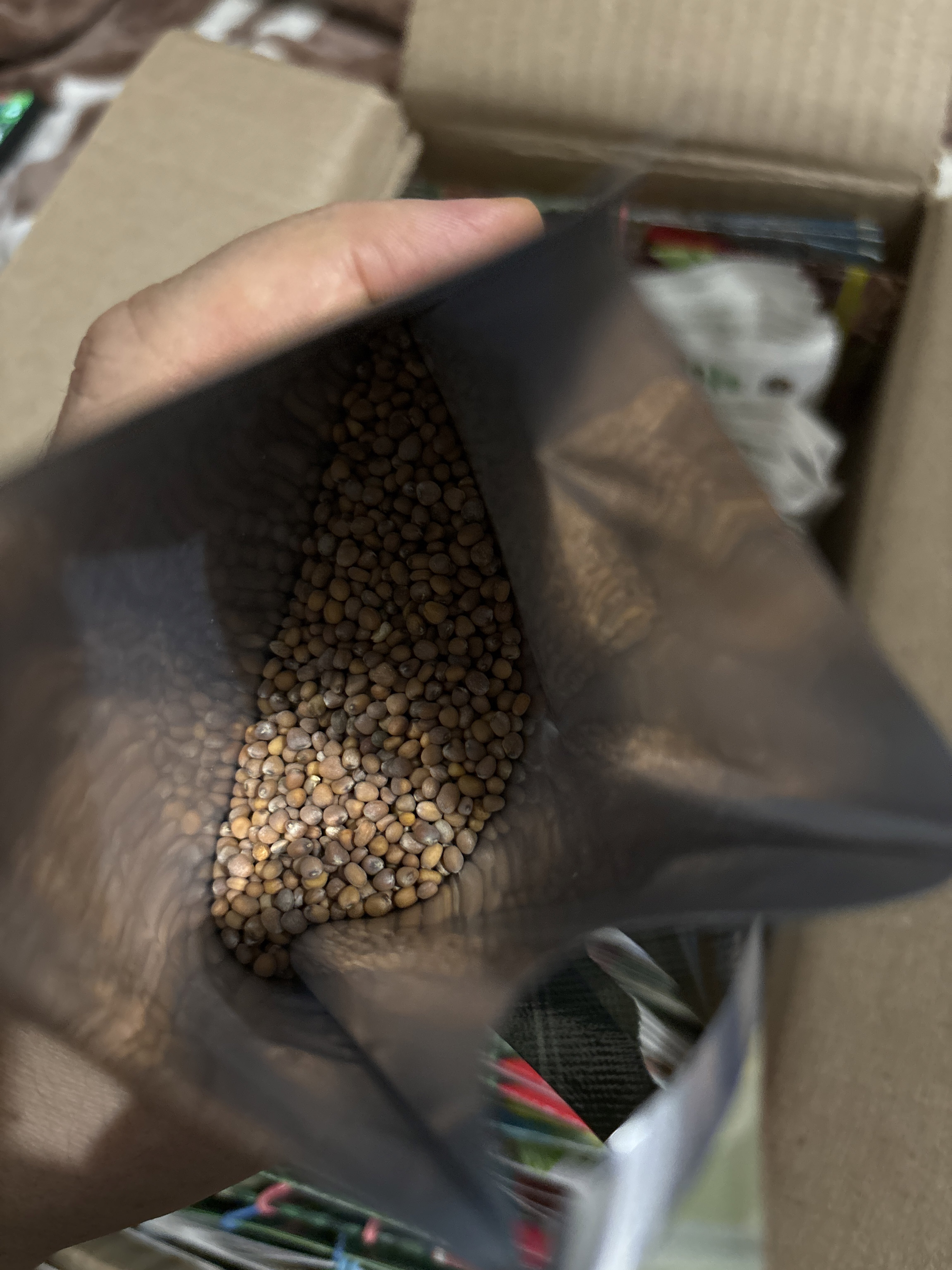 Фотография покупателя товара Семена Редис "18 дней", ц/п, 25 г - Фото 2