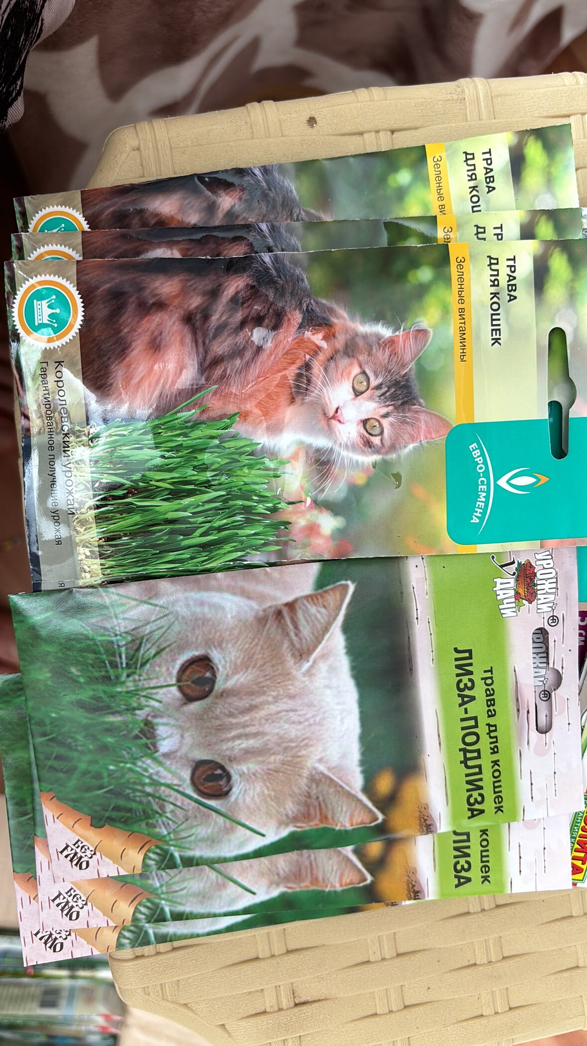 Фотография покупателя товара Семена Трава для кошек "Лиза-Подлиза", 5 г - Фото 1