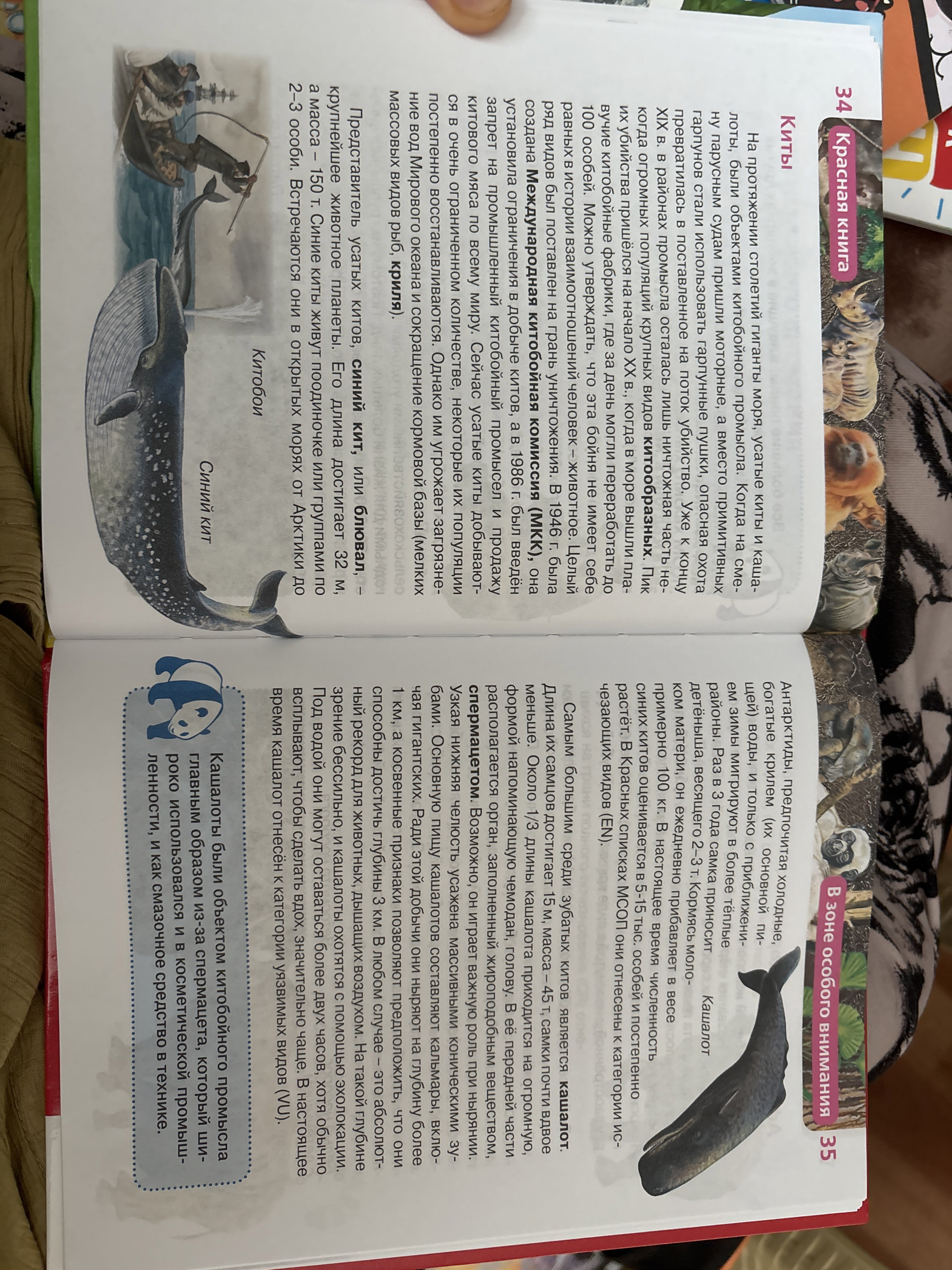 Фотография покупателя товара Детская энциклопедия «Красная книга» - Фото 2