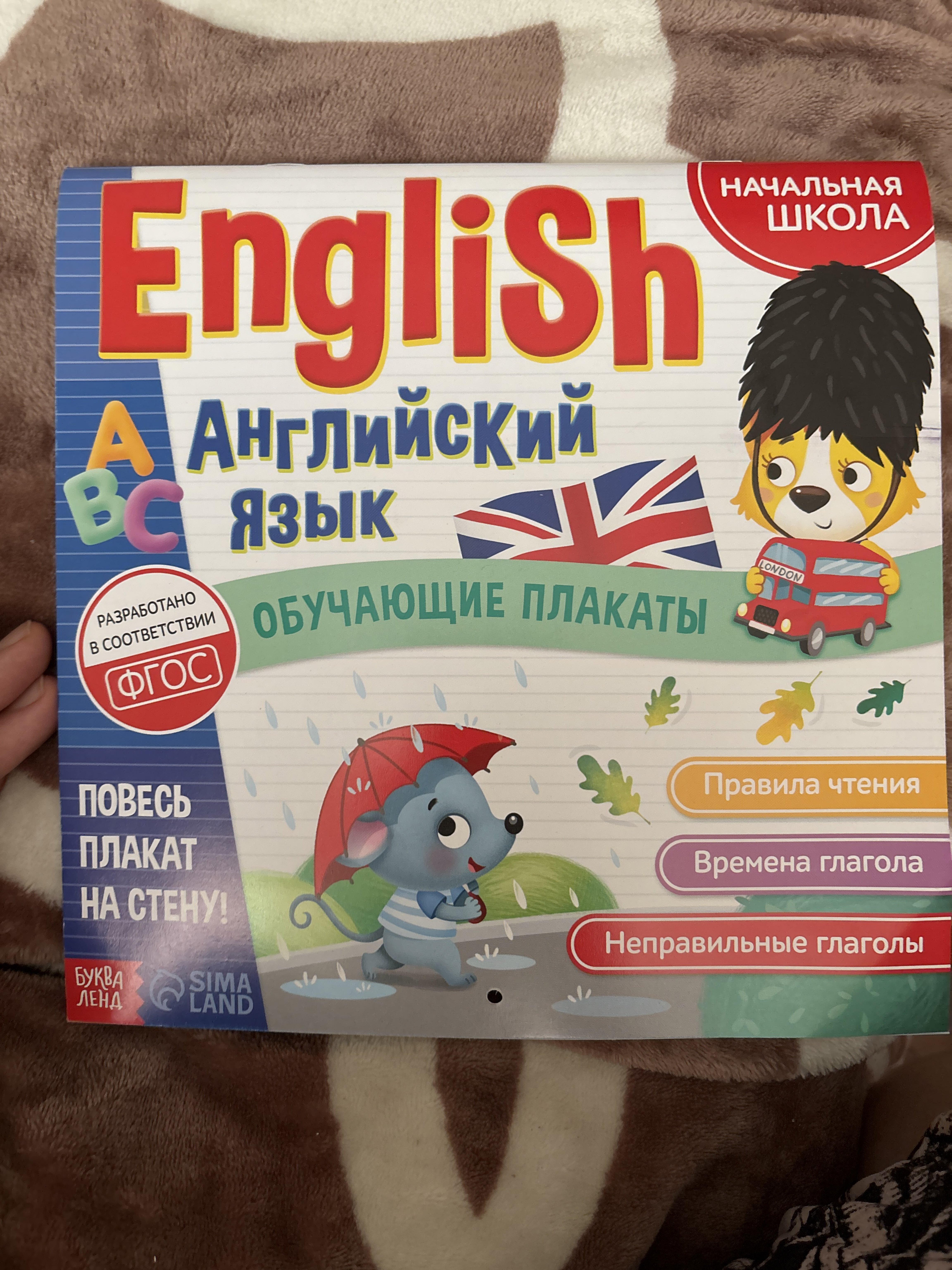 Фотография покупателя товара Обучающие плакаты «English. Английский язык», 28 стр.