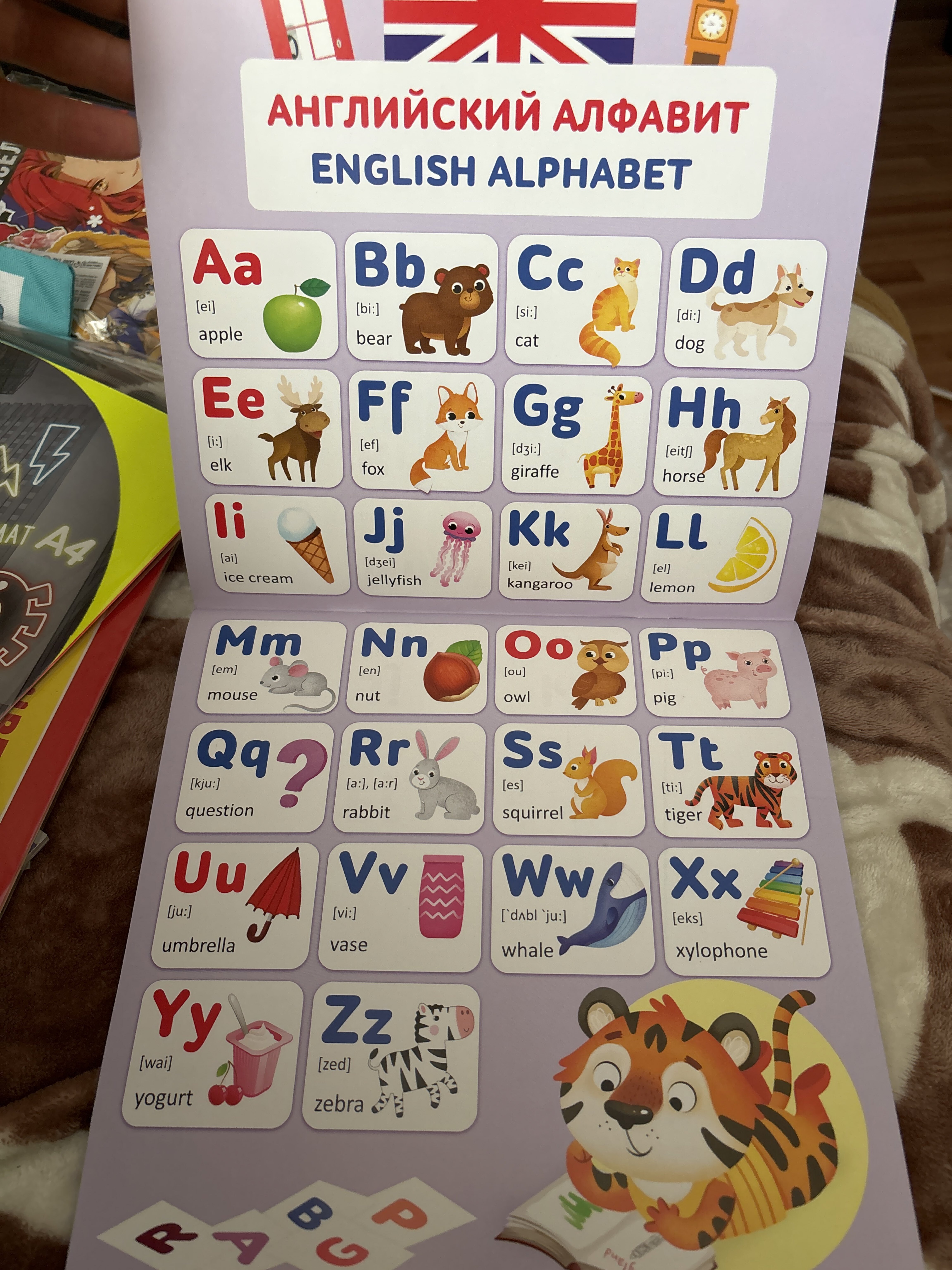 Фотография покупателя товара Обучающие плакаты «English. Английский язык», 28 стр.