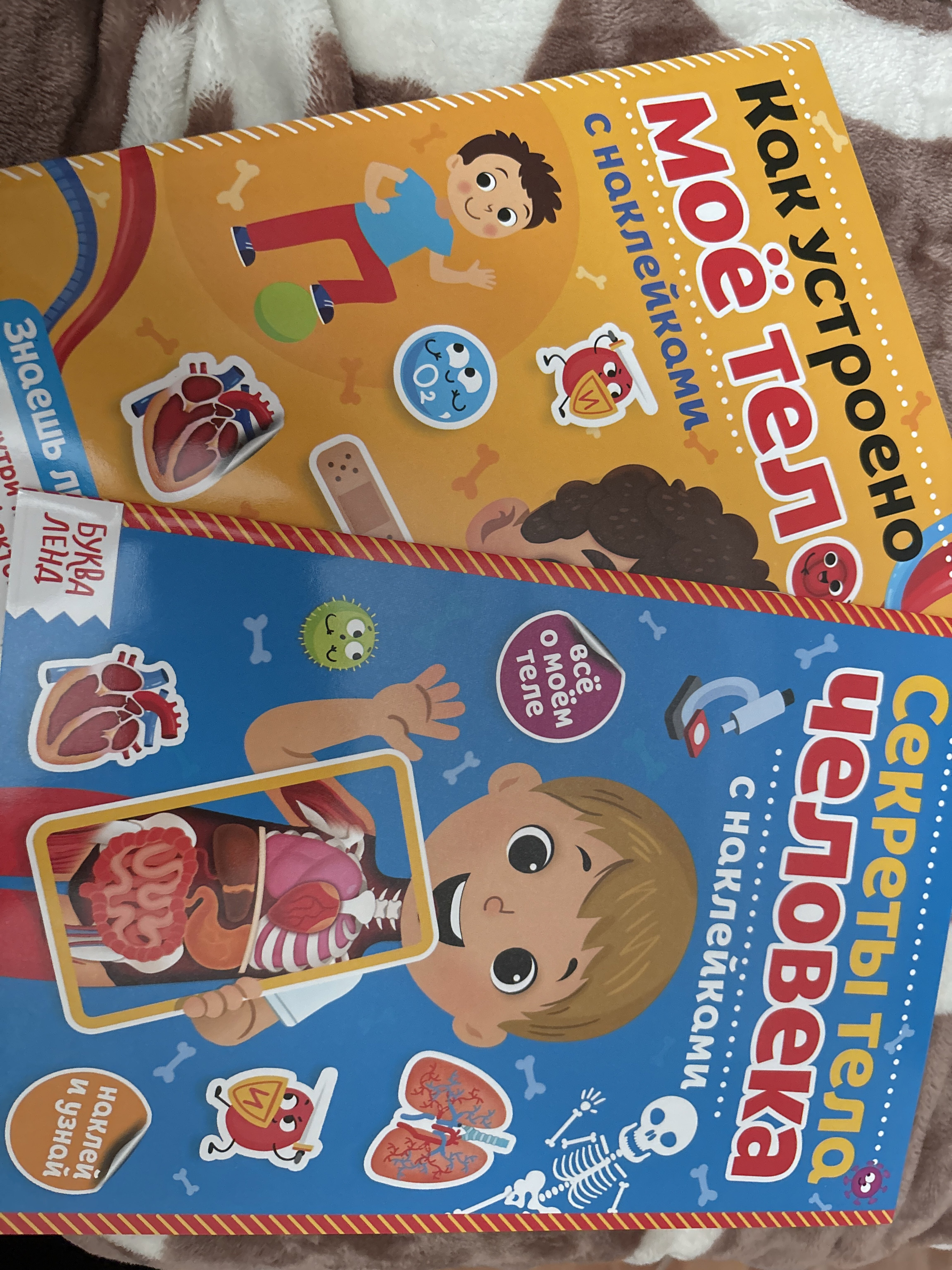 Фотография покупателя товара Наклейки «Тело человека», набор 2 шт. по 16 стр. - Фото 1