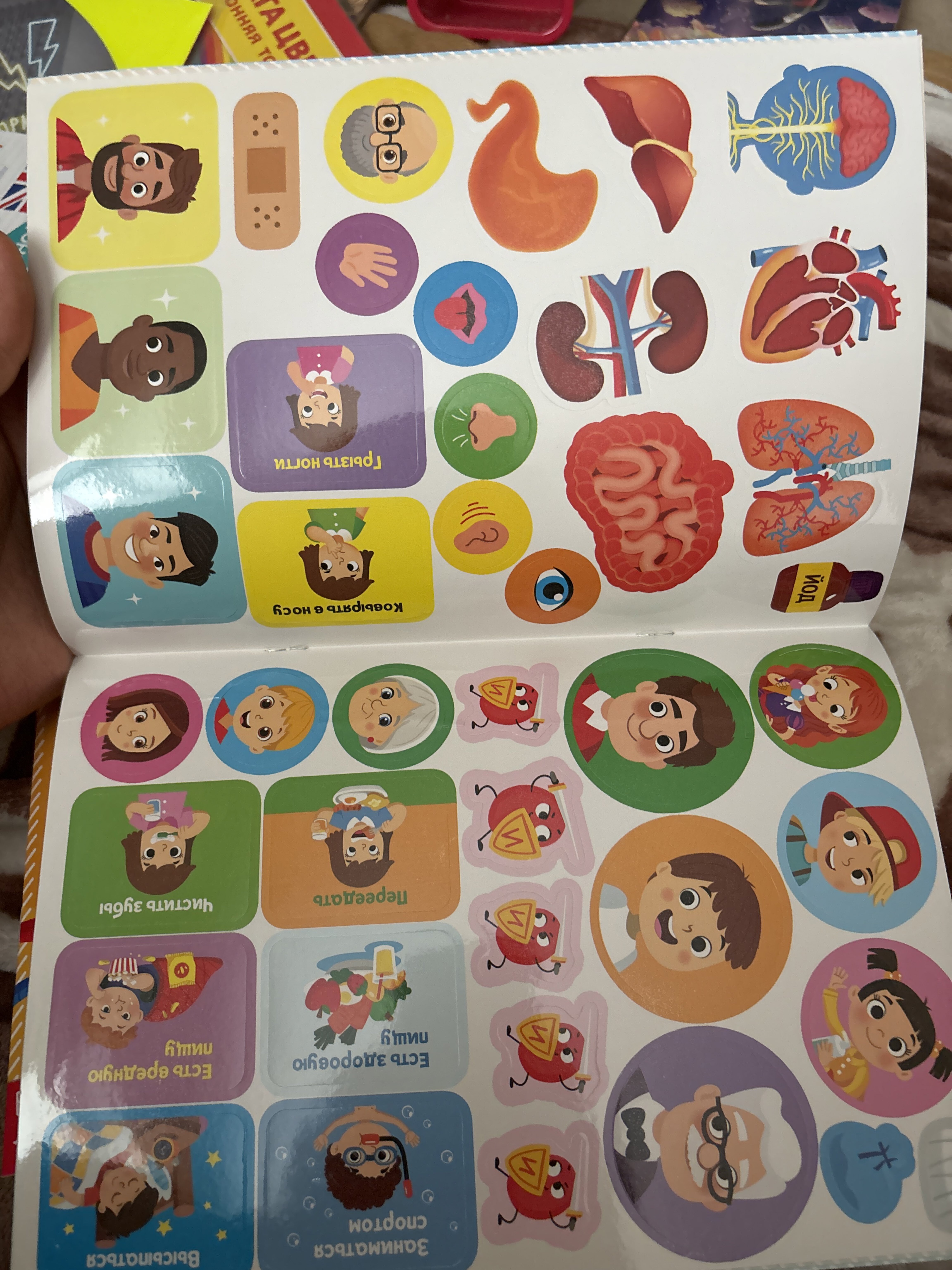 Фотография покупателя товара Наклейки «Тело человека», набор 2 шт. по 16 стр. - Фото 2