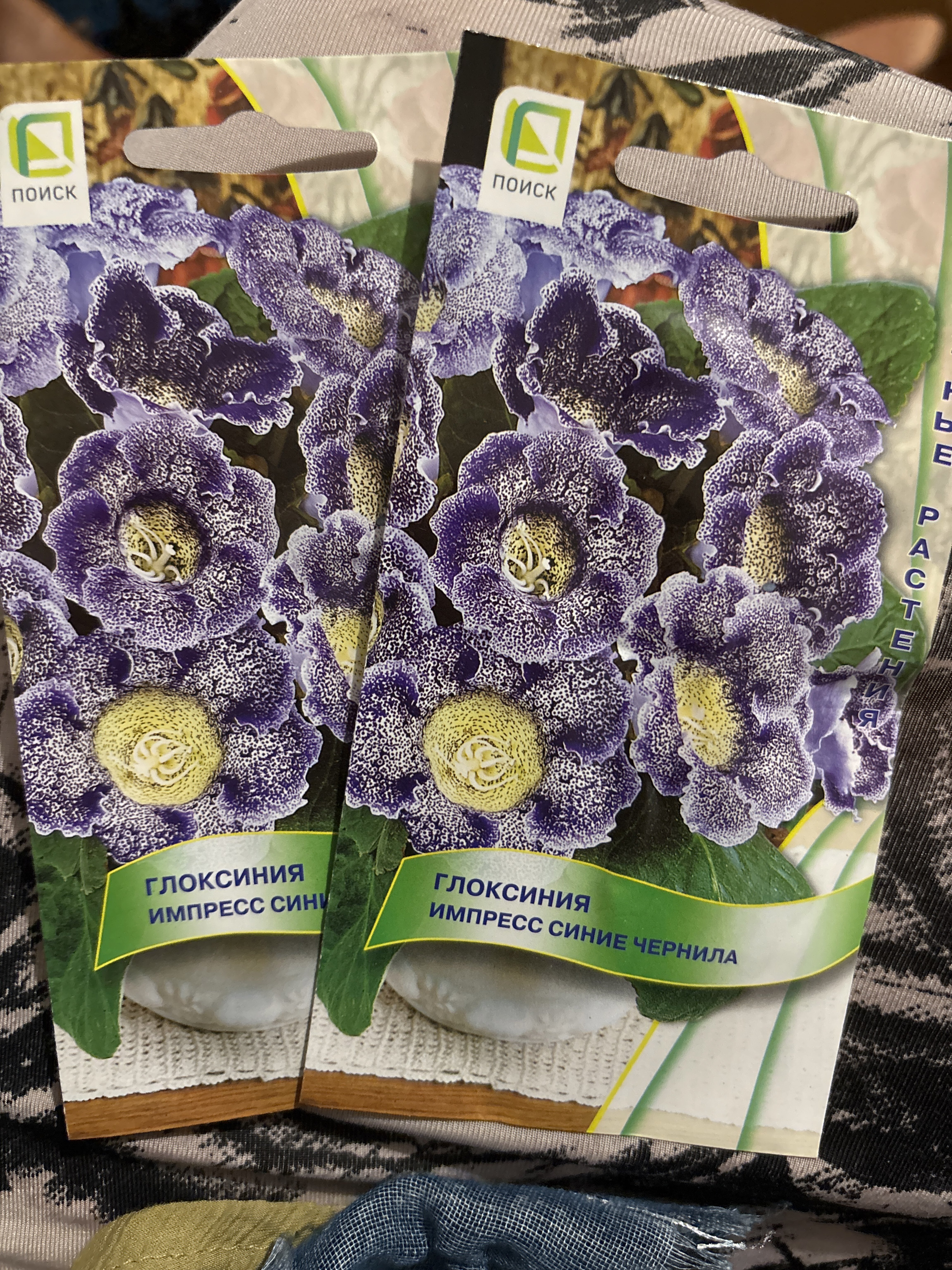 Фотография покупателя товара Семена цветов Глоксиния «Импресс Синие чернила», 5 шт., «Поиск» - Фото 1