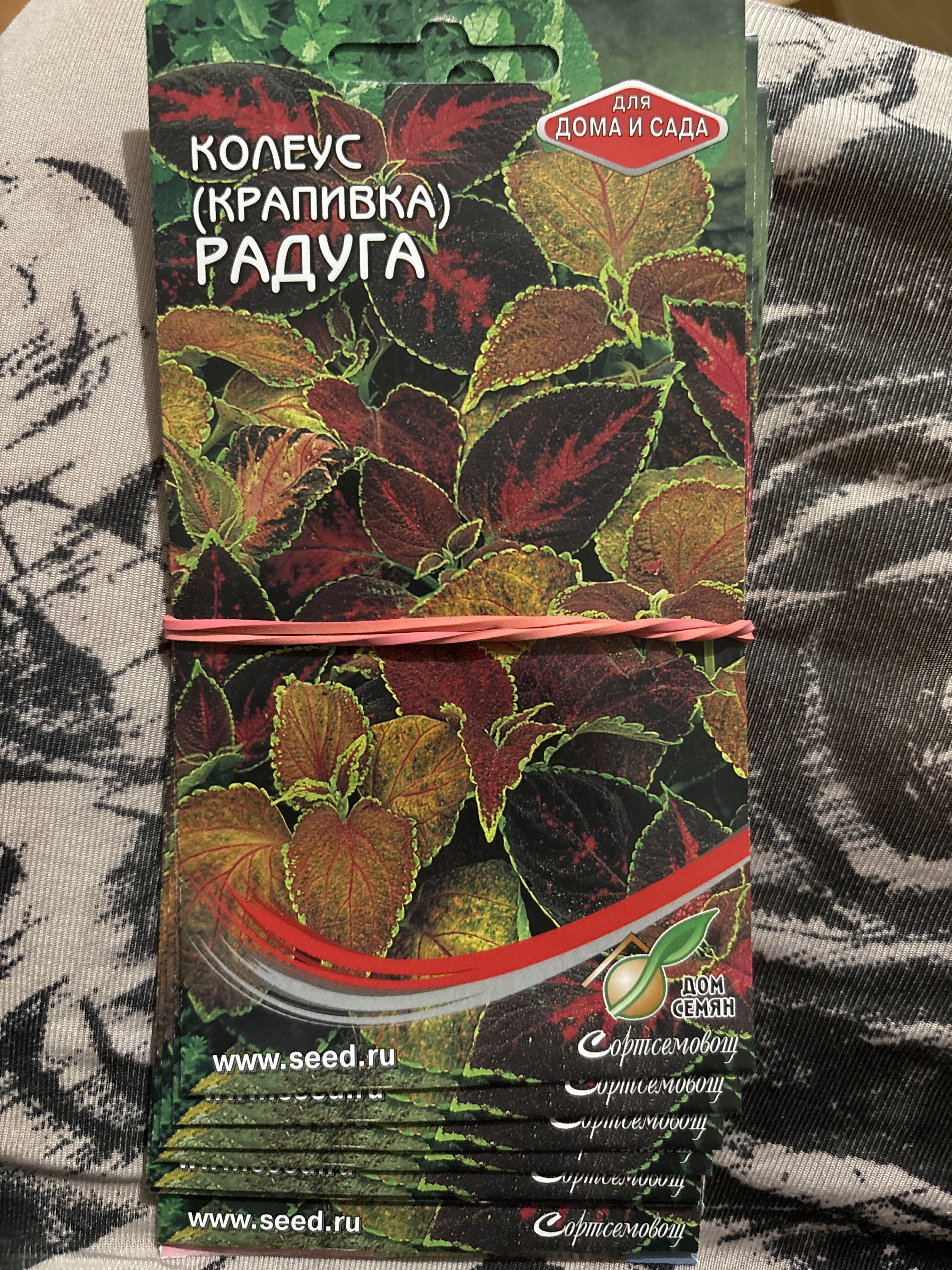 Фотография покупателя товара Семена комнатных цветов Колеус «Блюма Радуга», 130 шт., «Дом семян» - Фото 2