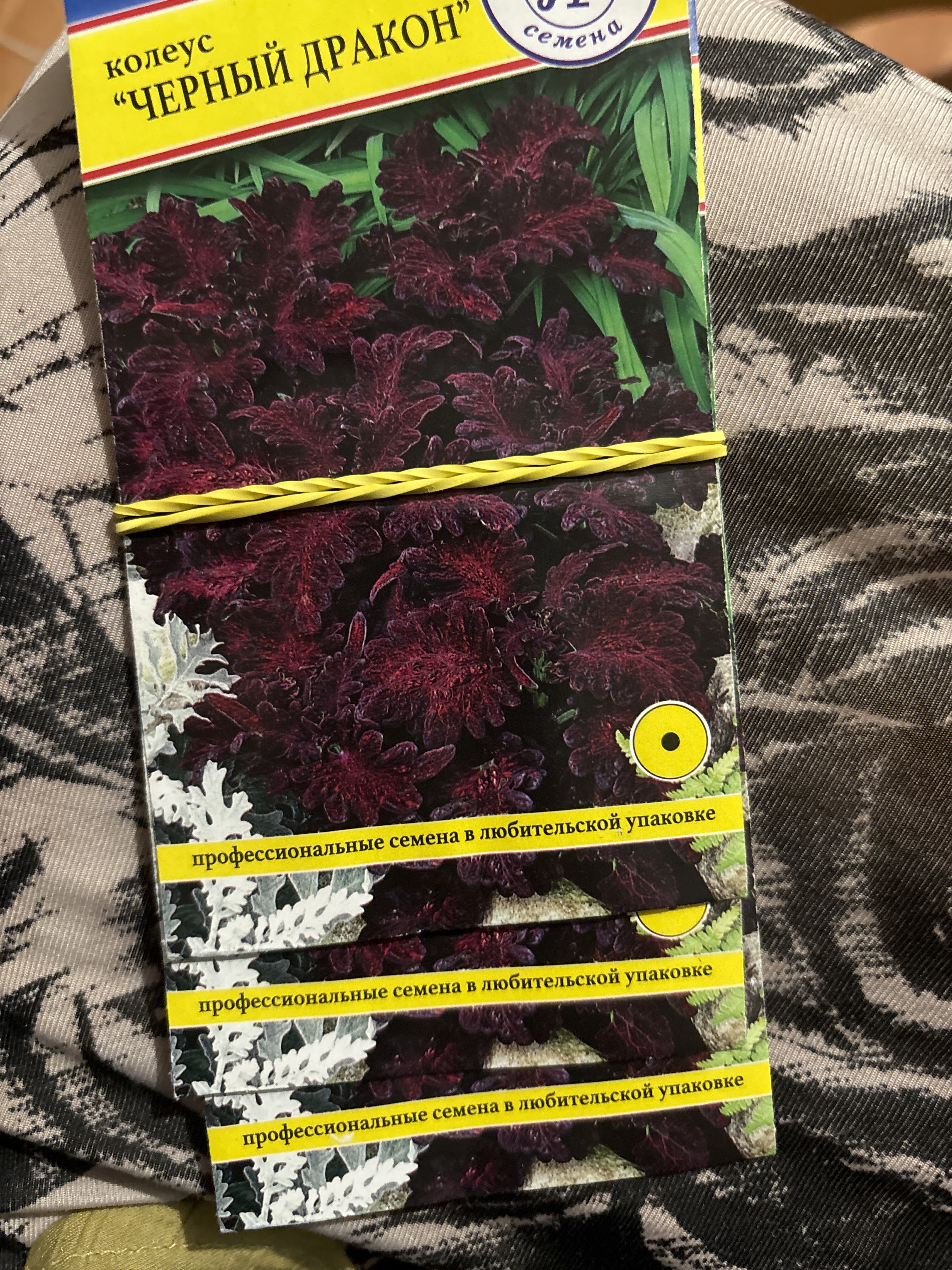 Фотография покупателя товара Семена цветов Колеус "Черный дракон" F1, О, 10 шт - Фото 2