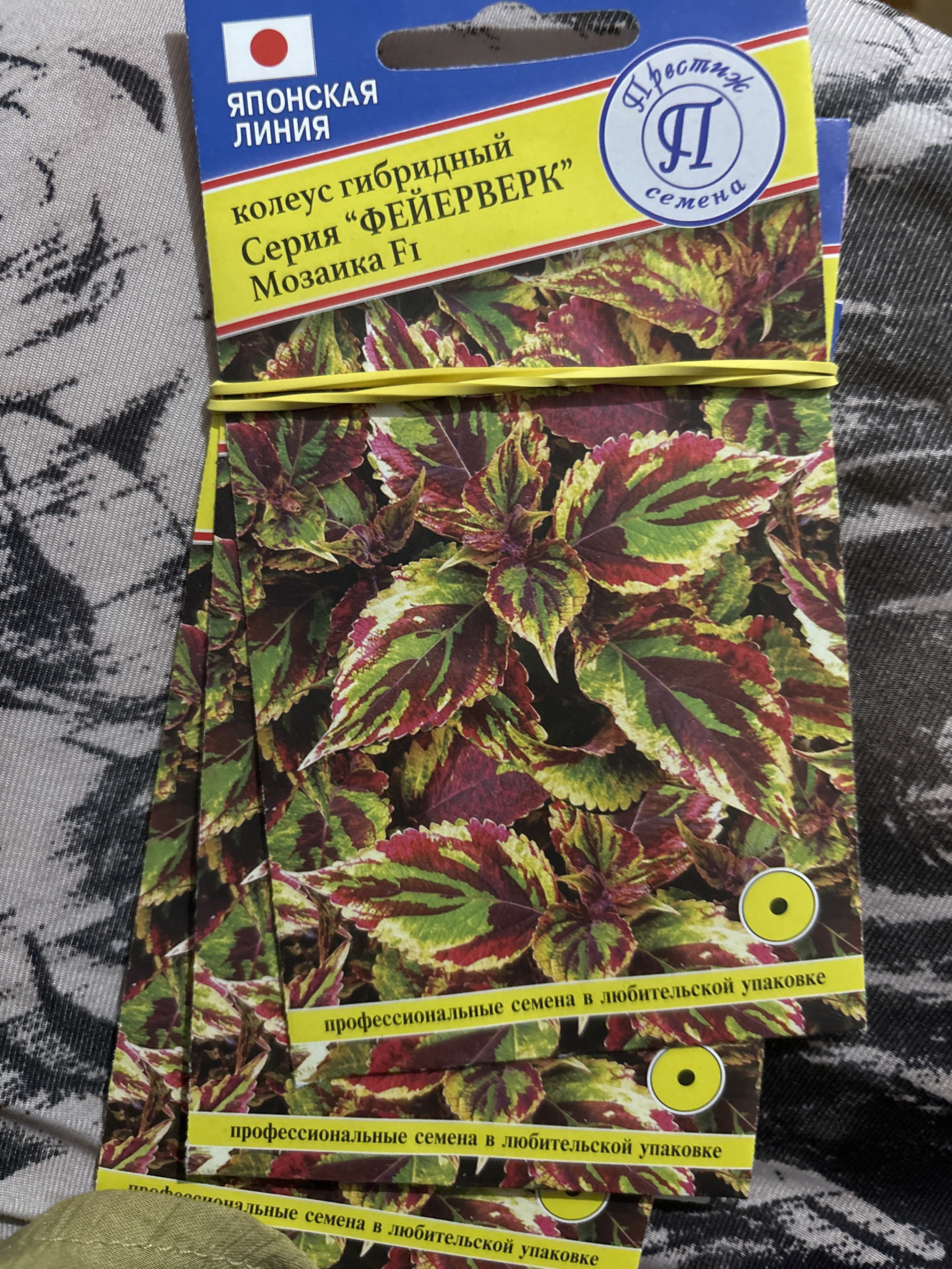 Фотография покупателя товара Семена цветов Колеус "Фейерверк" Мозаика F1, О, 10 шт - Фото 1