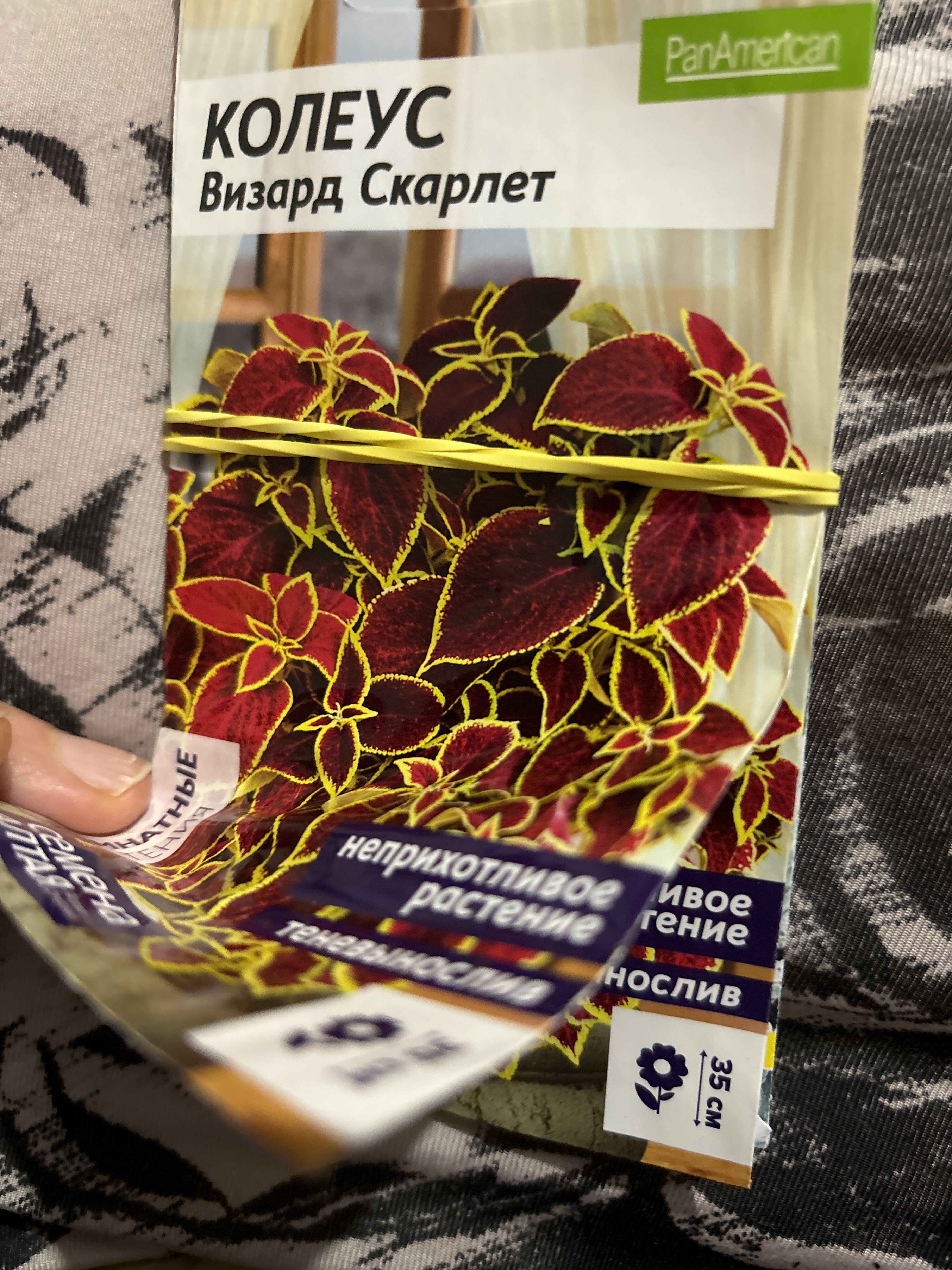 Фотография покупателя товара Семена комнатных цветов Колеус "Скарлет", ц/п, 5 шт. - Фото 3