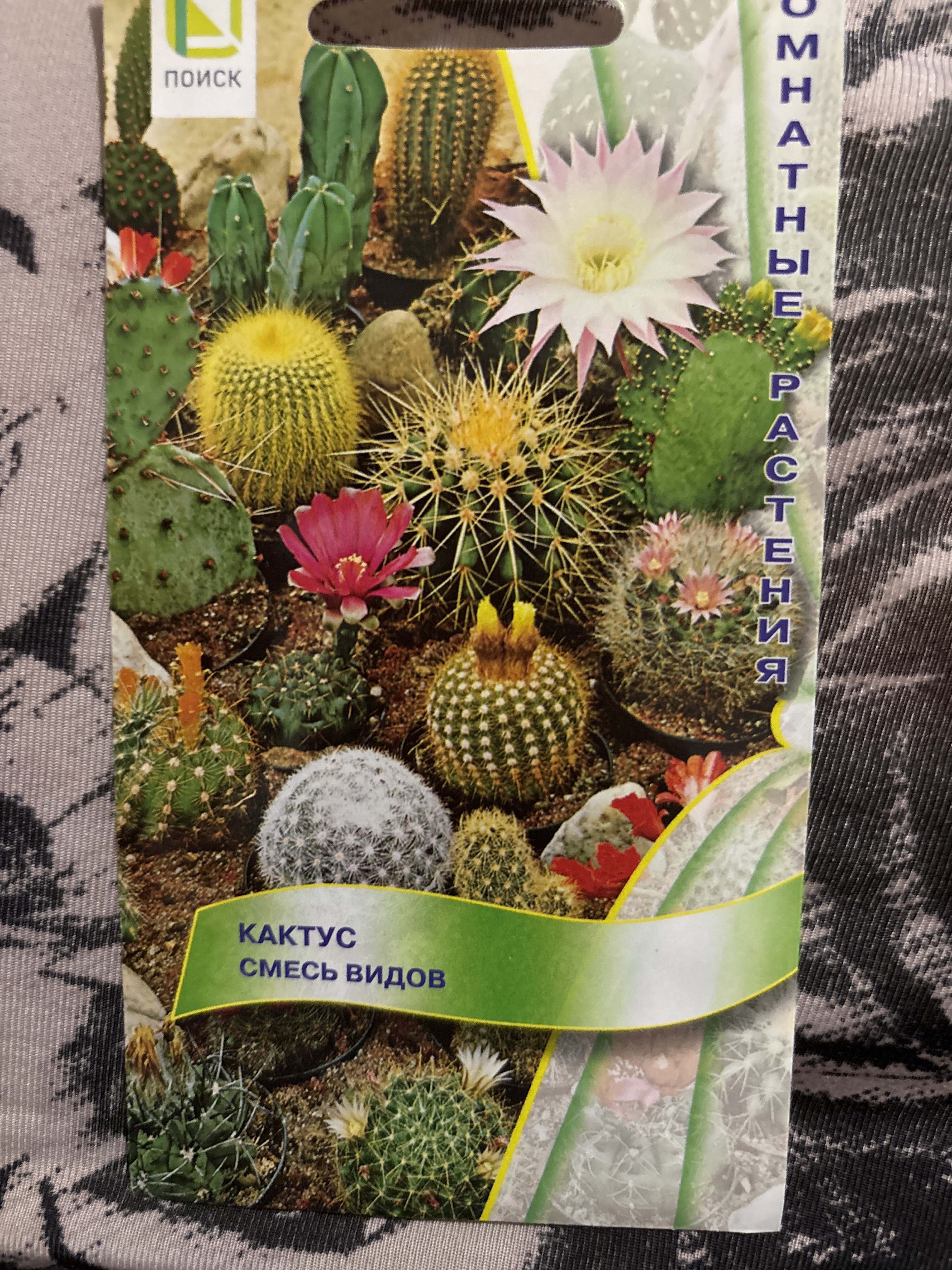 Фотография покупателя товара Семена комнатных цветов Кактус "Смесь видов", 0,1 г. - Фото 3