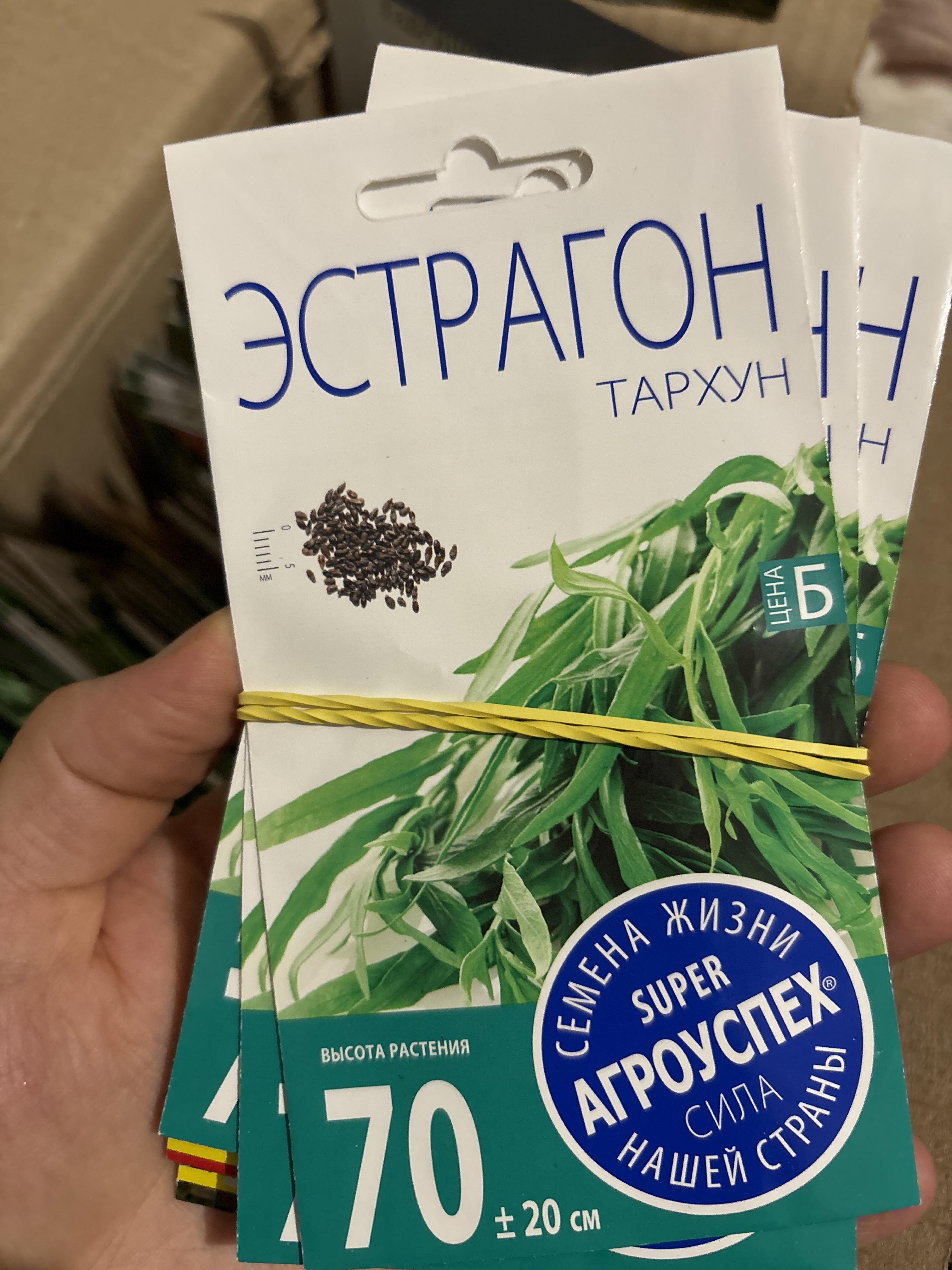 Фотография покупателя товара Семена Эстрагон Тархун, 0,1г - Фото 1