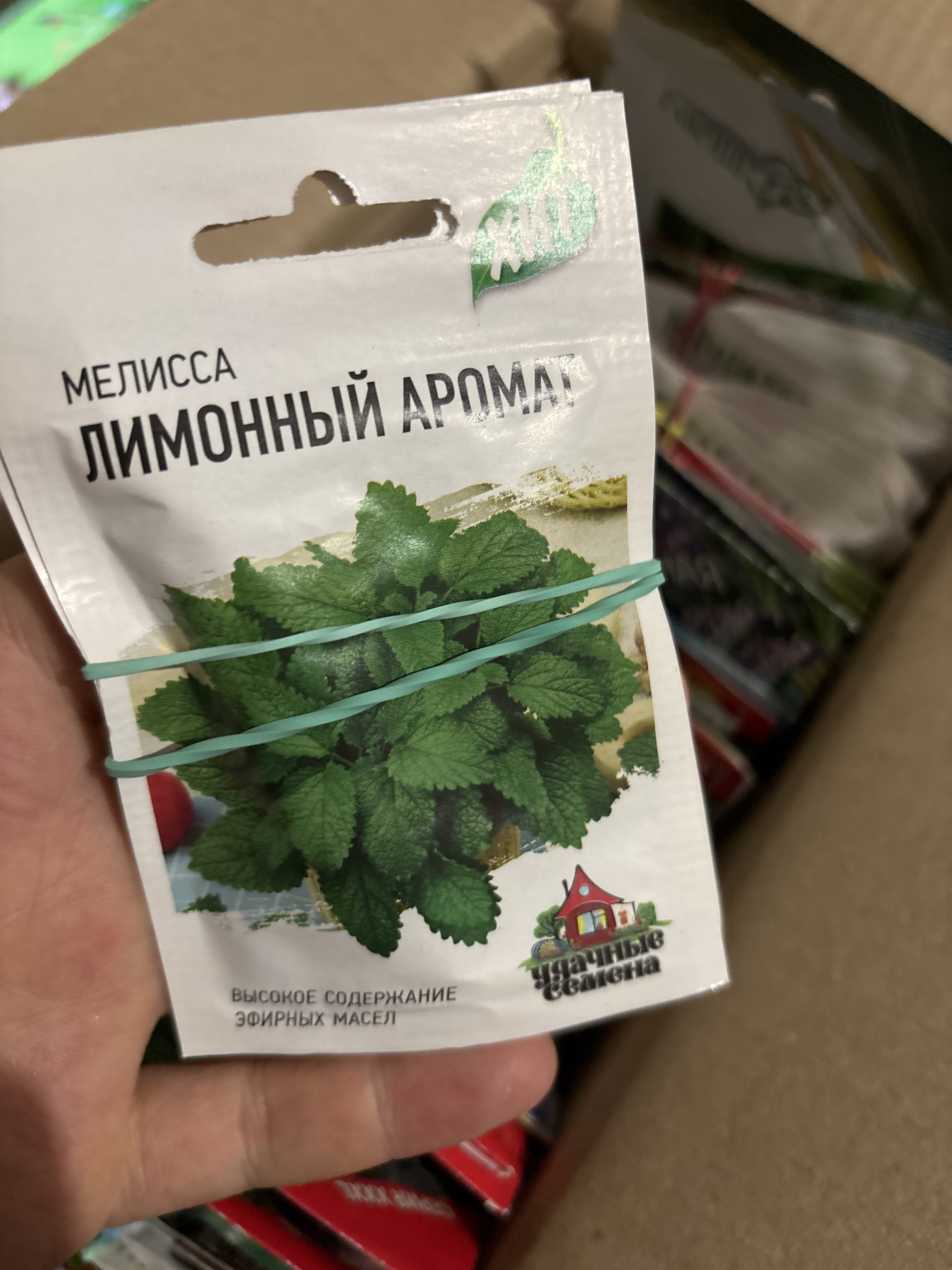 Фотография покупателя товара Семена Мелисса лекарственная "Лимонный аромат", ц/п,  0,1 г - Фото 1