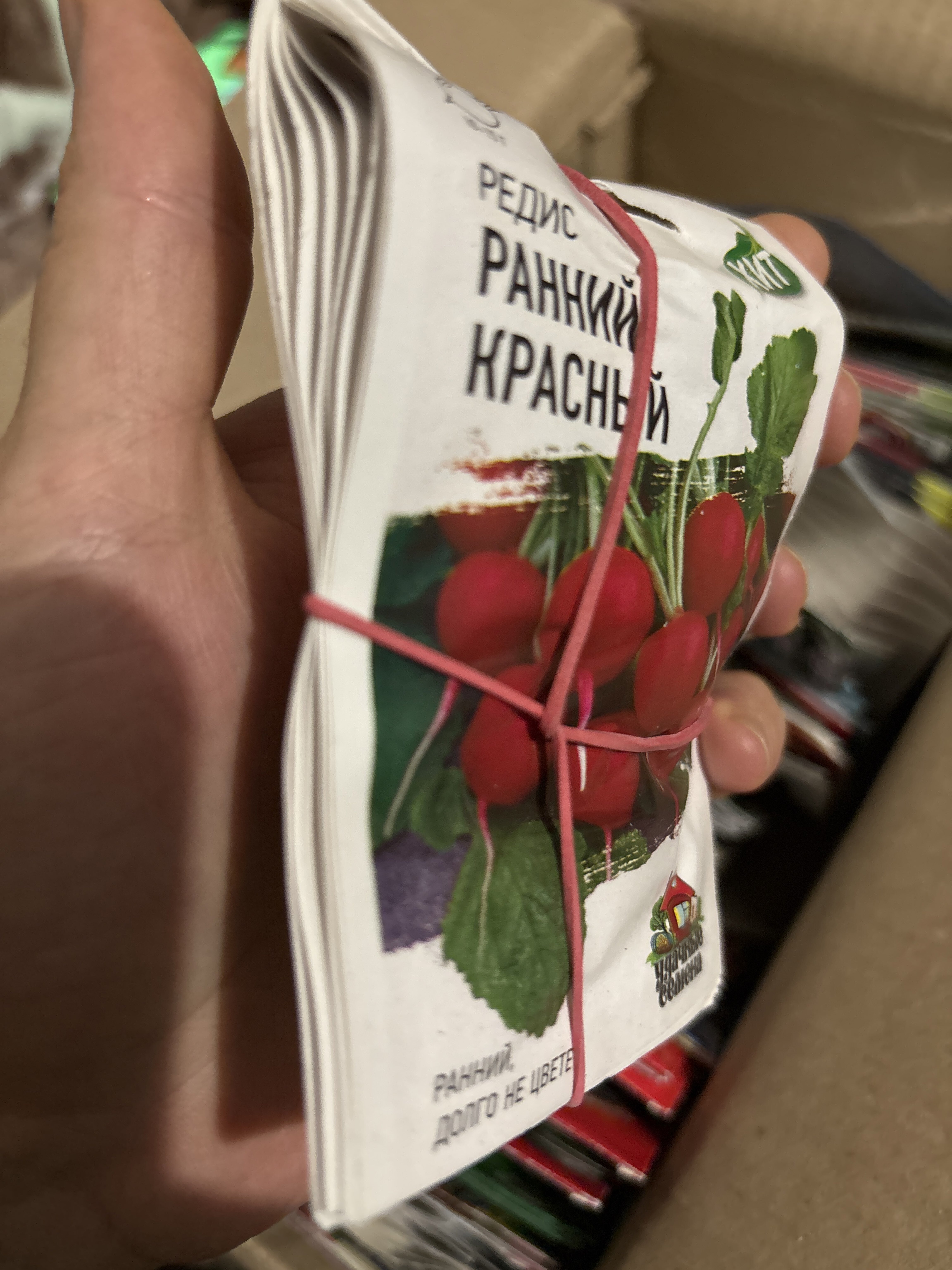 Фотография покупателя товара Семена Редис Ранний, красный, ц/п, 2 г серия ХИТ х3 - Фото 1