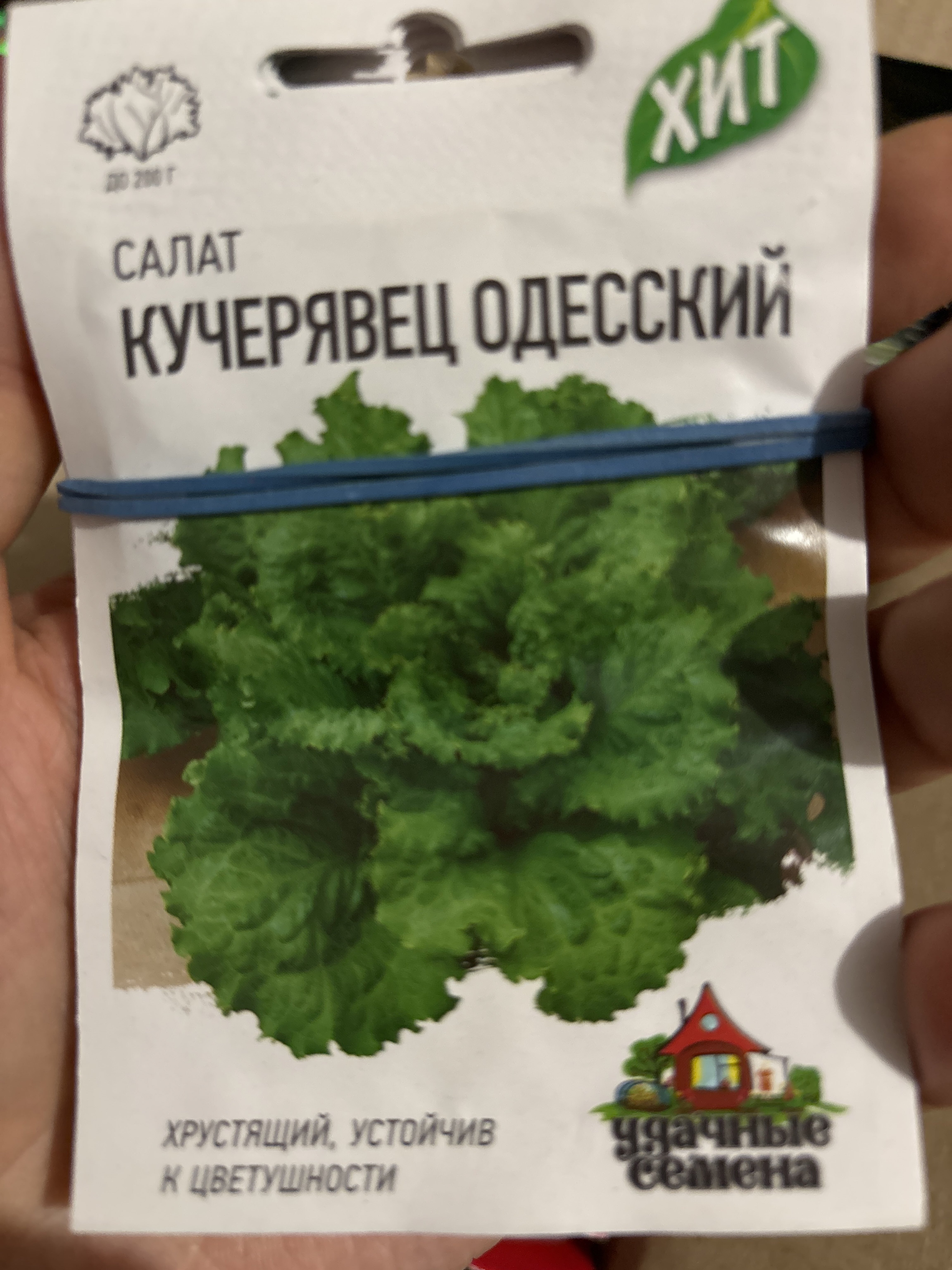 Фотография покупателя товара Семена Салат "Кучерявец Одесский" хрустящий, ц/п,  0,5 г  серия ХИТ х3 - Фото 1