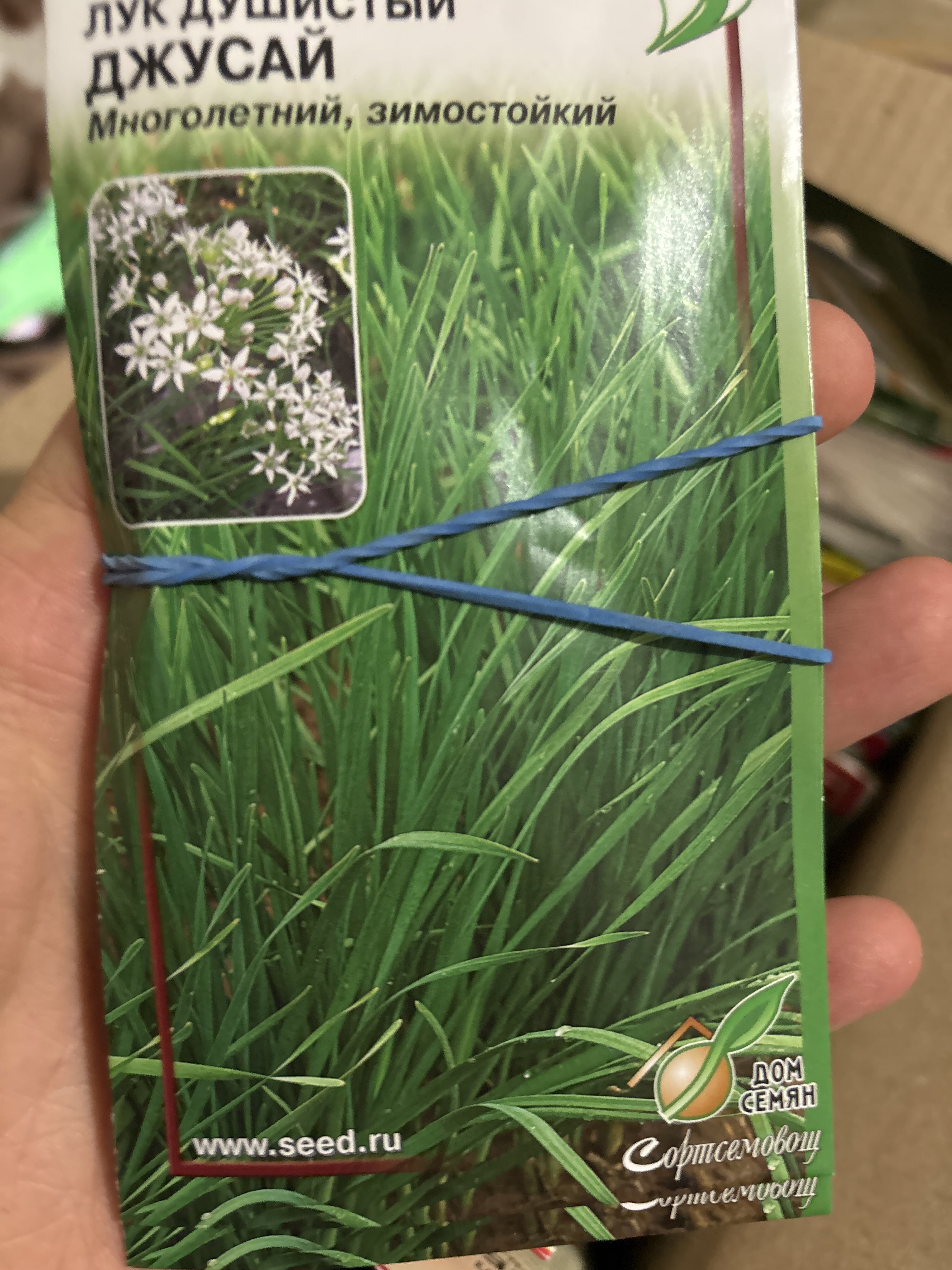 Фотография покупателя товара Семена Лук душистый «Джусай», 40 шт., многолетний, «Дом семян» - Фото 1