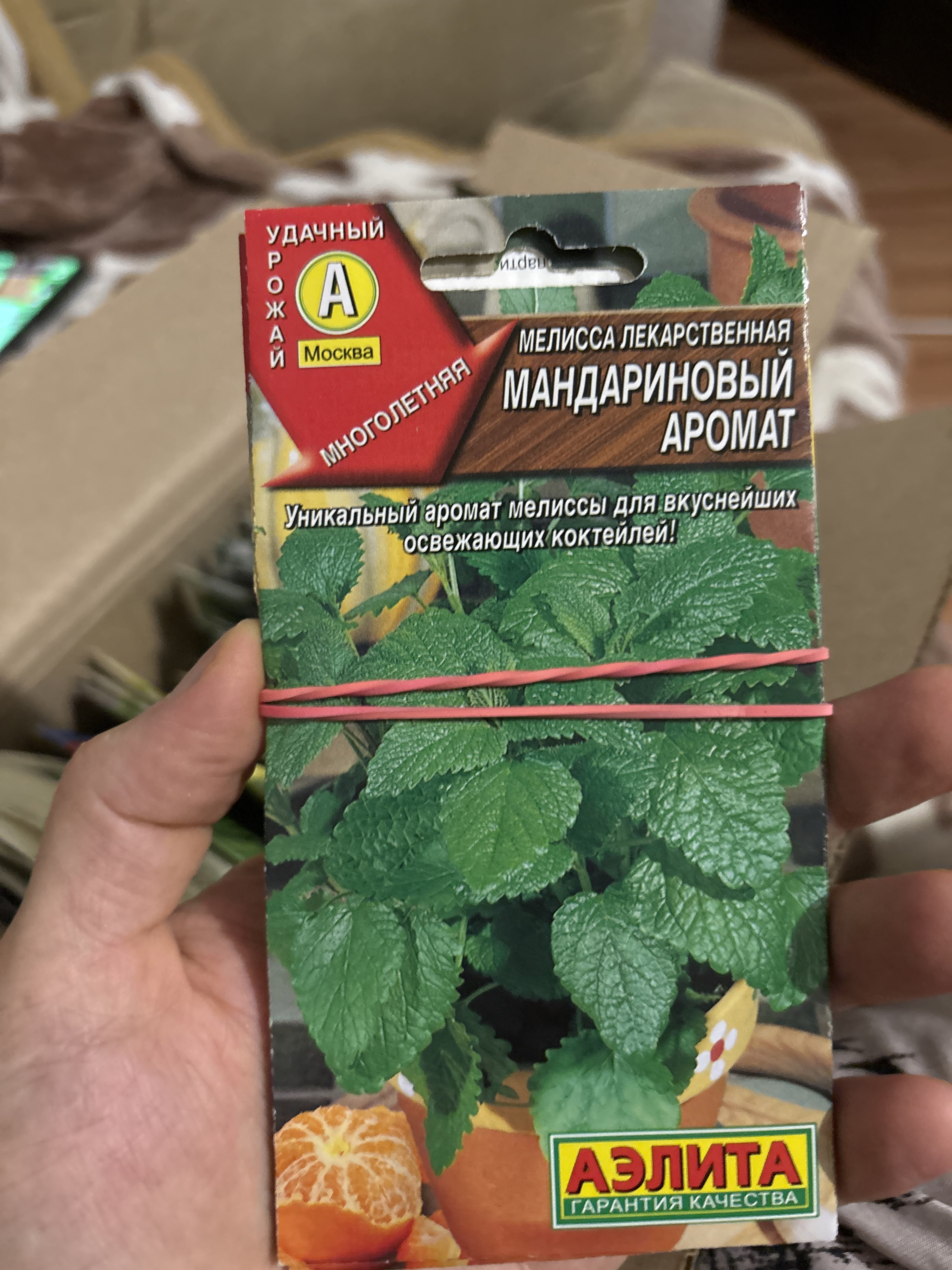 Фотография покупателя товара Семена Мелисса "Мандариновый аромат", ц/п, 5 шт - Фото 1