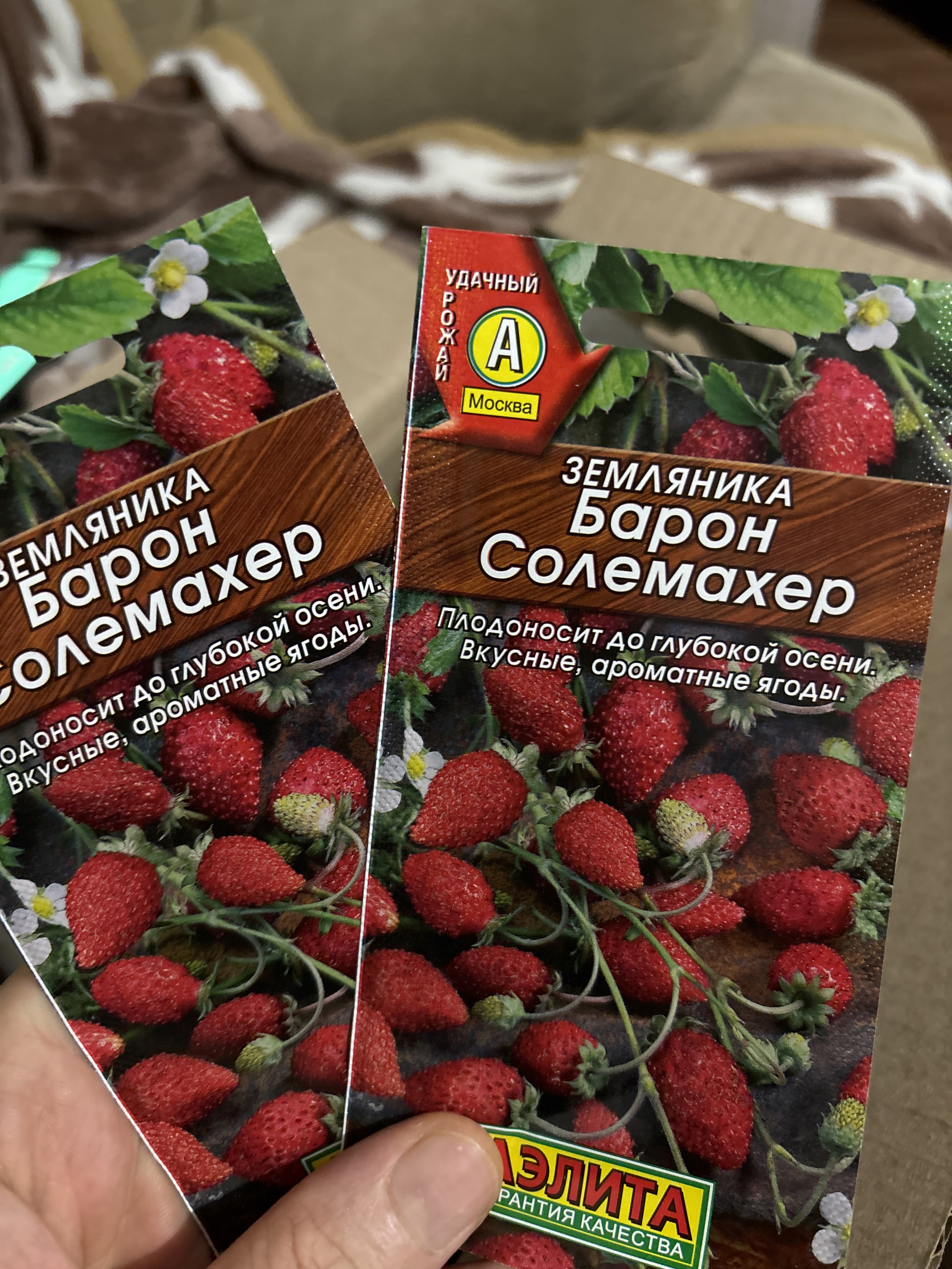 Фотография покупателя товара Семена Земляника «Барон Солемахер», ремонтантная, 0.04 г, «Аэлита» - Фото 4