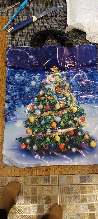 Фотография покупателя товара Пакет "Зимняя красавица", полиэтиленовый с петлевой ручкой, 28x35 см, 50 мкм