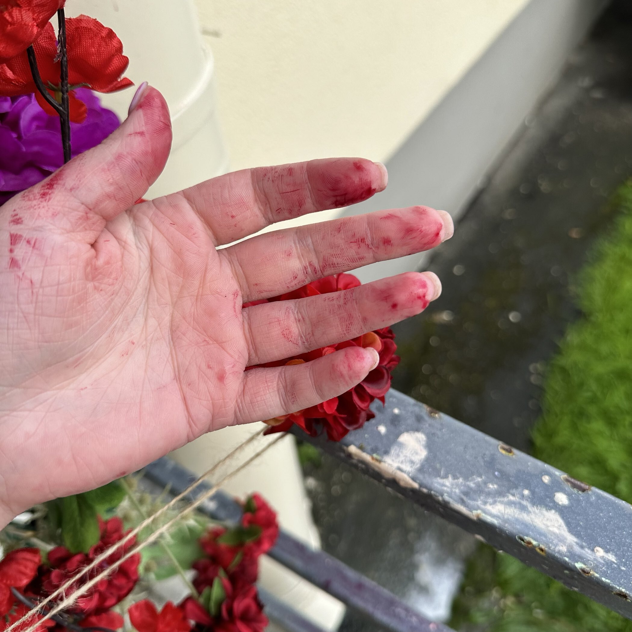 Фотография покупателя товара Цветы искусственные «Гортензия люкс кустовая», h=64 см, красные - Фото 1