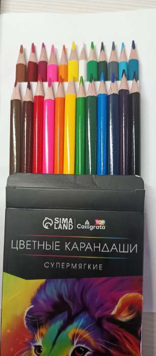 Фотография покупателя товара Карандаши цветные, 12 цветов, Calligrata TOP, шестигранные, пластиковые - Фото 7