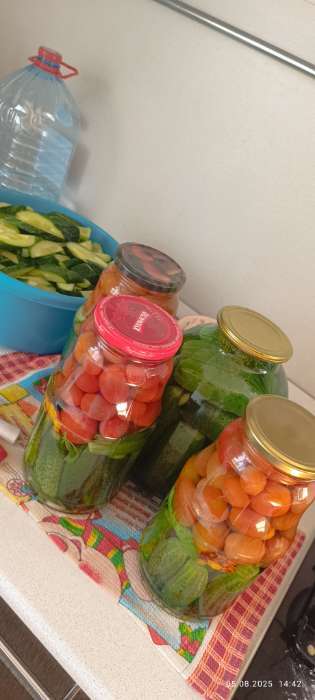 Фотография покупателя товара Семена Томат "Финик Красный", F1,  15 шт - Фото 1