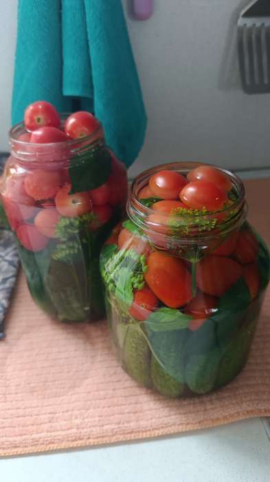 Фотография покупателя товара Семена Томат "Финик Красный", F1,  15 шт - Фото 2