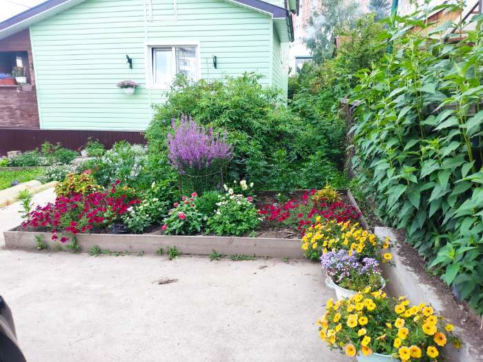 Фотография покупателя товара Удобрение "Кормилица Микориза" Дой-Пак, 0,8 кг - Фото 5