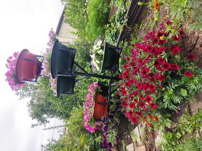 Фотография покупателя товара Удобрение "Кормилица Микориза" Дой-Пак, 0,8 кг - Фото 6