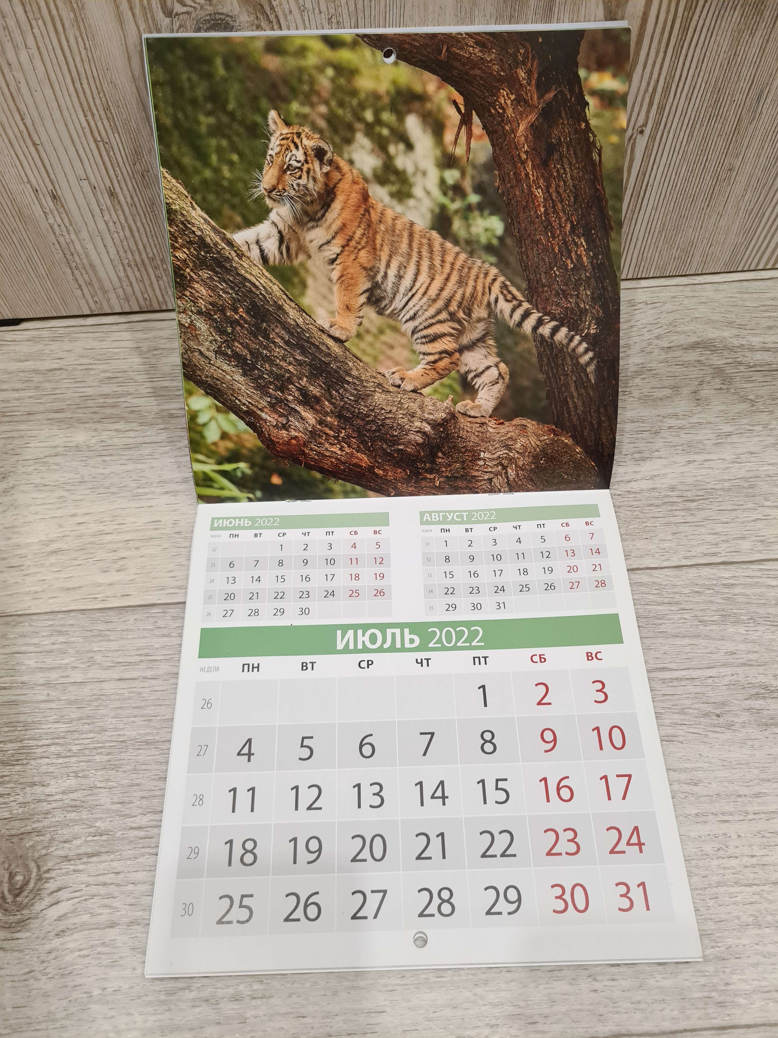 Фотография покупателя товара Календарь, перекидной, скрепка "Символ года. Вид 4" 2022 год, 22,5х22,5 см - Фото 1