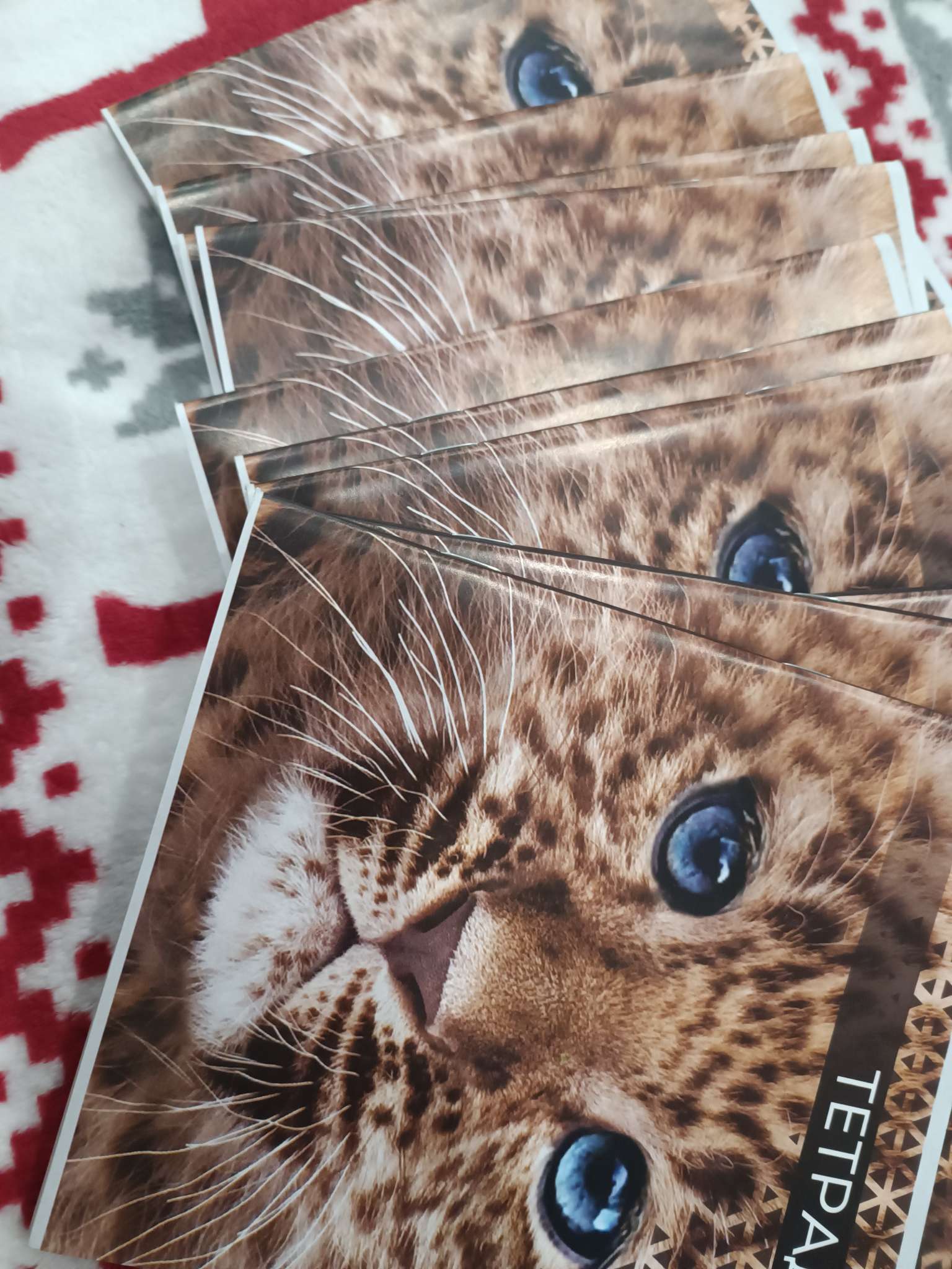 Фотография покупателя товара Тетрадь 48 листов в линейку, Calligrata «Дикие кошки», МИКС - Фото 7