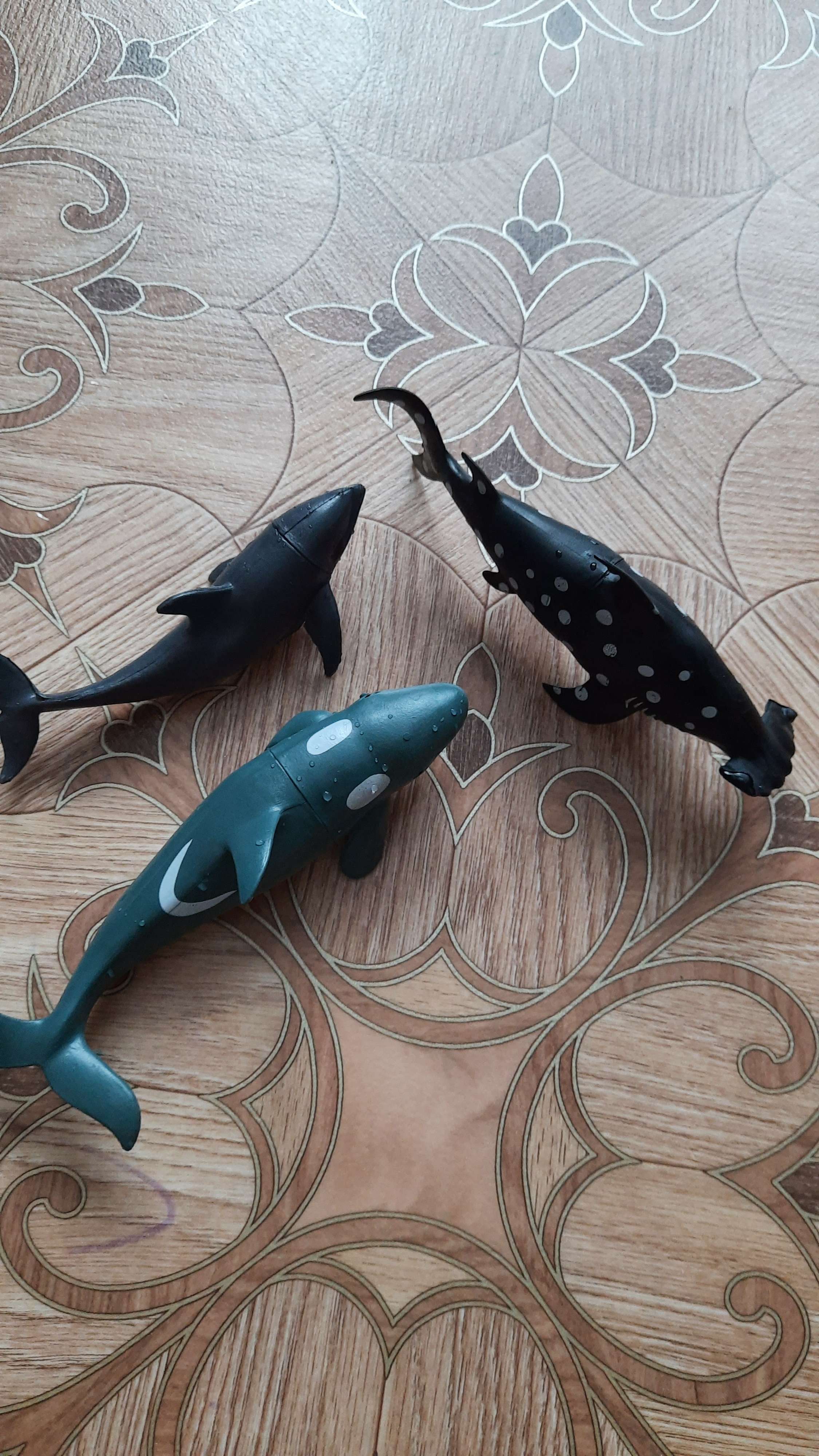 Фотография покупателя товара Набор морских животных «Хищники», 3 штуки - Фото 1