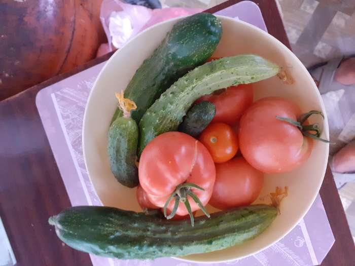 Фотография покупателя товара Семена Томат "Розовый слон" "Лидер", индетерминантный,высокорослый, 0,2 г , - Фото 2