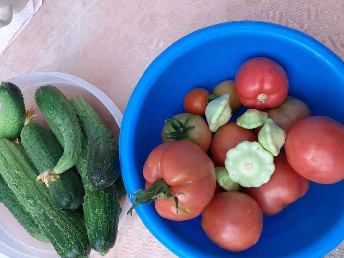 Фотография покупателя товара Семена Томат "Розовый слон" "Лидер", индетерминантный,высокорослый, 0,2 г , - Фото 3