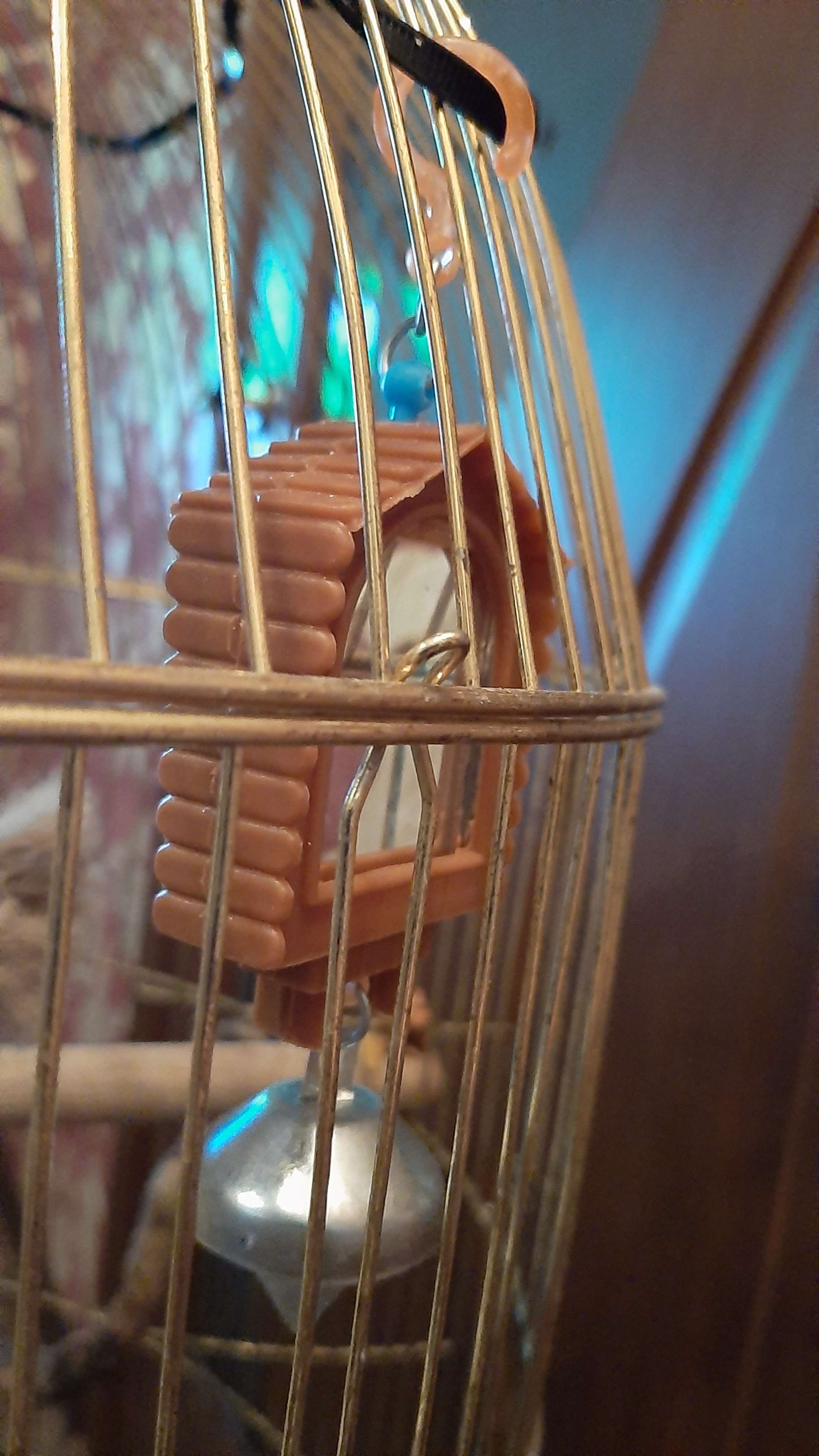 Фотография покупателя товара Игрушка для птиц зеркало двойное с металлическим колокольчиком №1 микс цветов - Фото 2