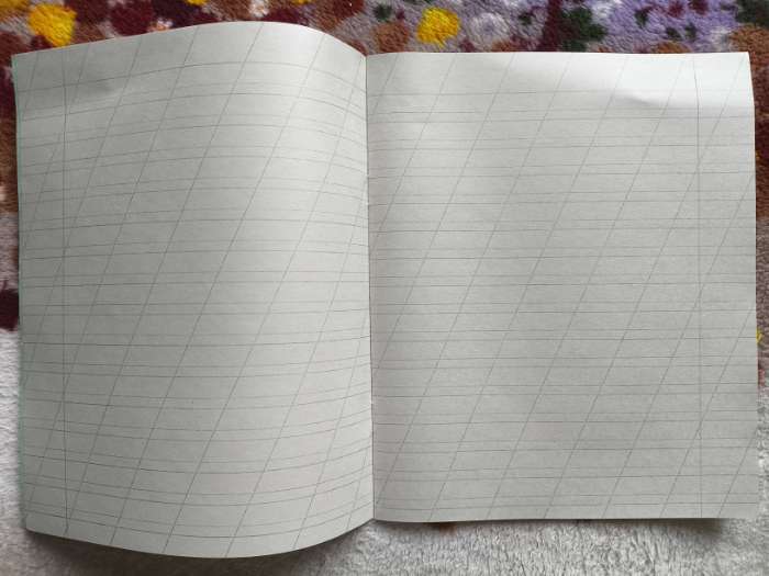 Фотография покупателя товара Тетрадь 12 листов в косую линейку «Зелёная обложка», бумажная обложка, серые листы, плотность 58-63 г/м² - Фото 9