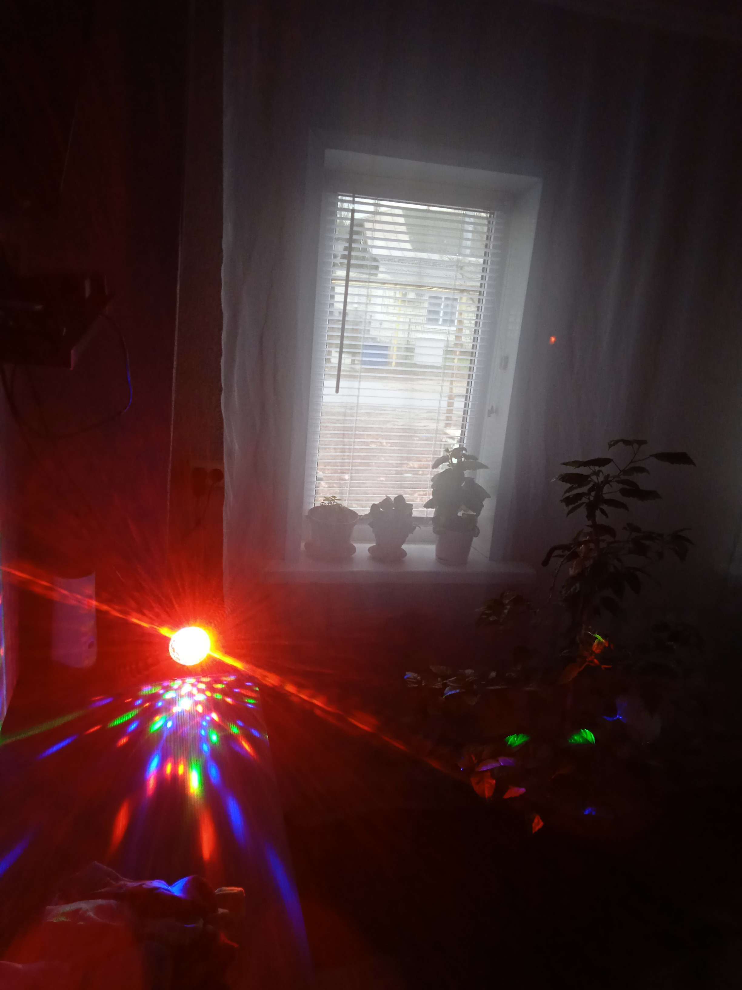 Фотография покупателя товара Световой прибор «Полусфера» 5 см, свечение RGB, 220 В - Фото 3