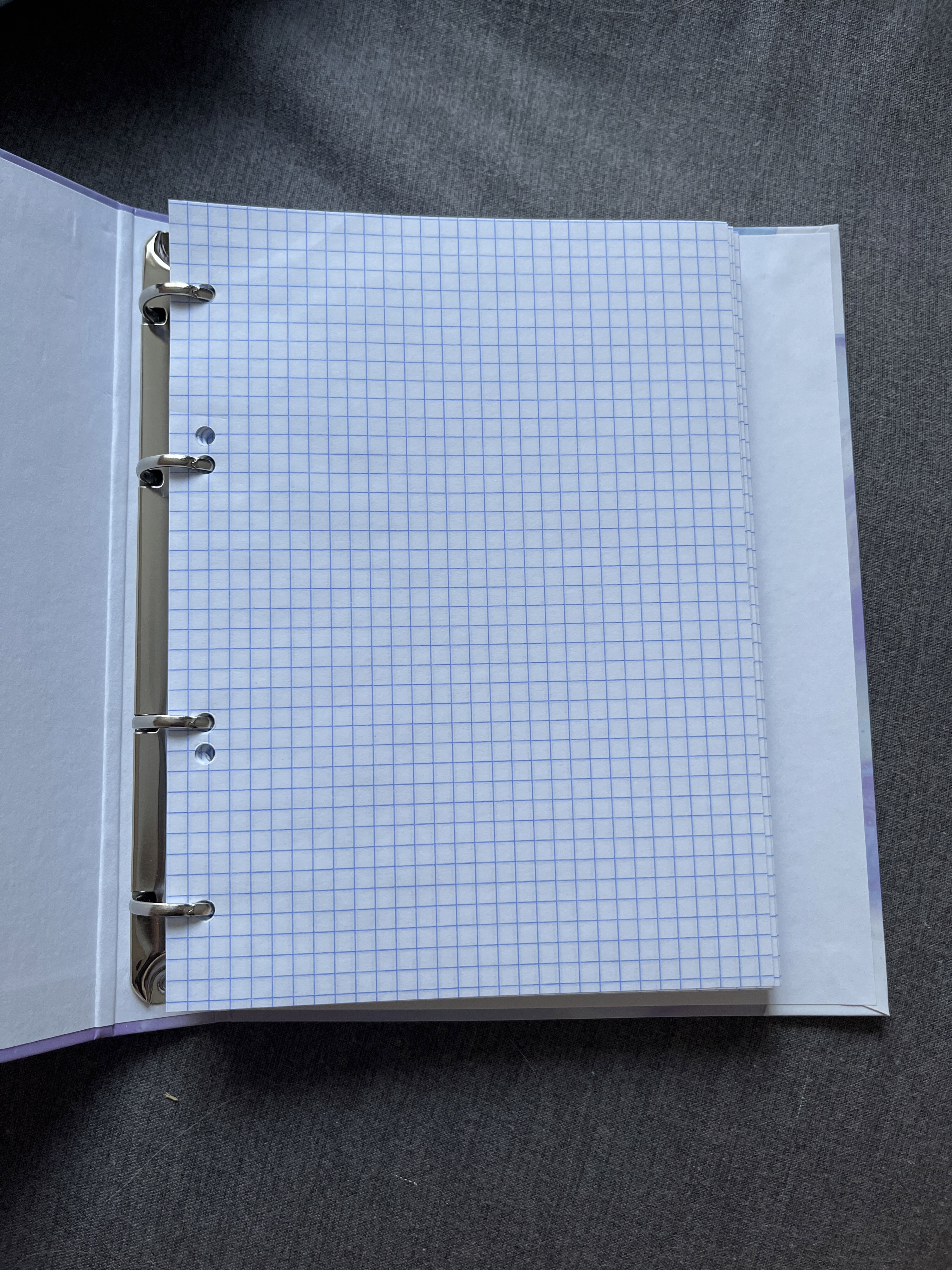 Фотография покупателя товара Тетрадь на кольцах A5, 160 листов в клетку, Calligrata «Мрамор» - Фото 3