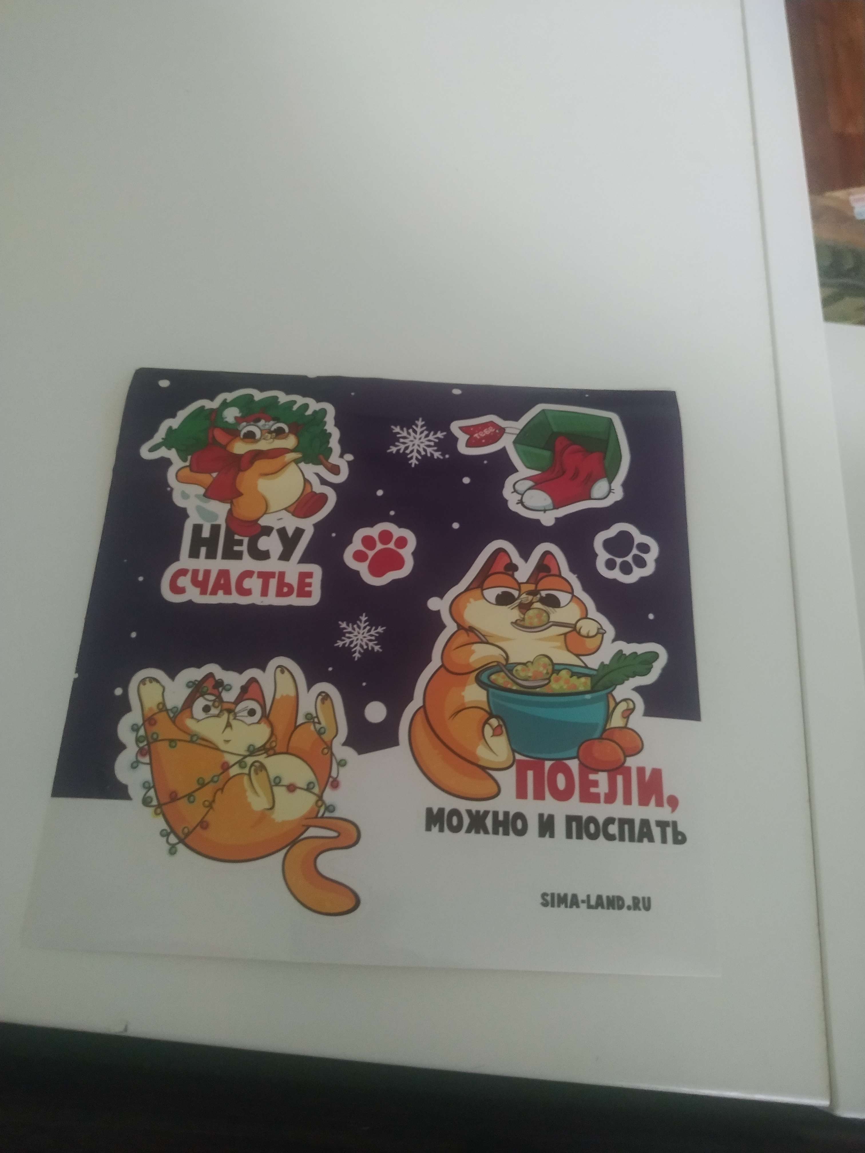 Фотография покупателя товара Письмо Деду Морозу «Котик», с наклейками - Фото 4