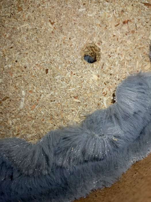 Фотография покупателя товара Домик для кошек с когтеточкой, 51×31×87 см, с овальной полкой, джут, серый - Фото 2