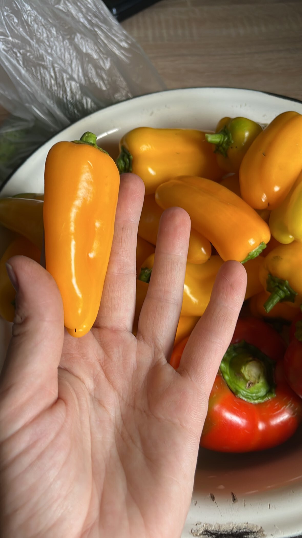 Фотография покупателя товара Семена Перец сладкий "Апельсин Желтый" F1, 10 шт - Фото 1