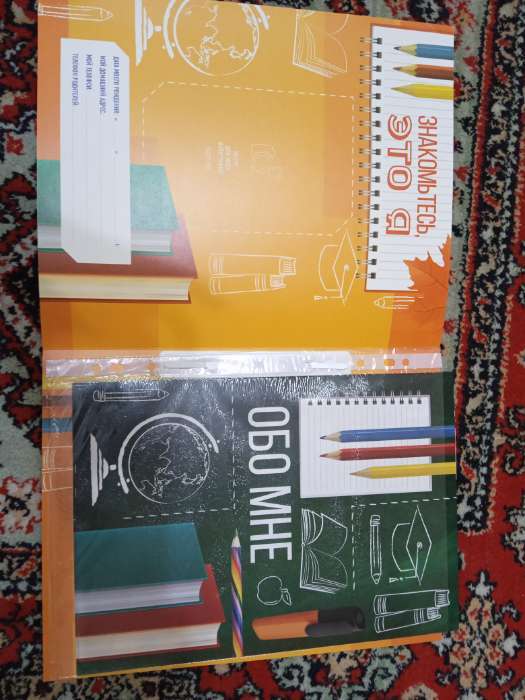 Фотография покупателя товара Папка школьная с креплением «Портфолио школьника», 10 листов-разделителей, 21.5×30 см - Фото 33