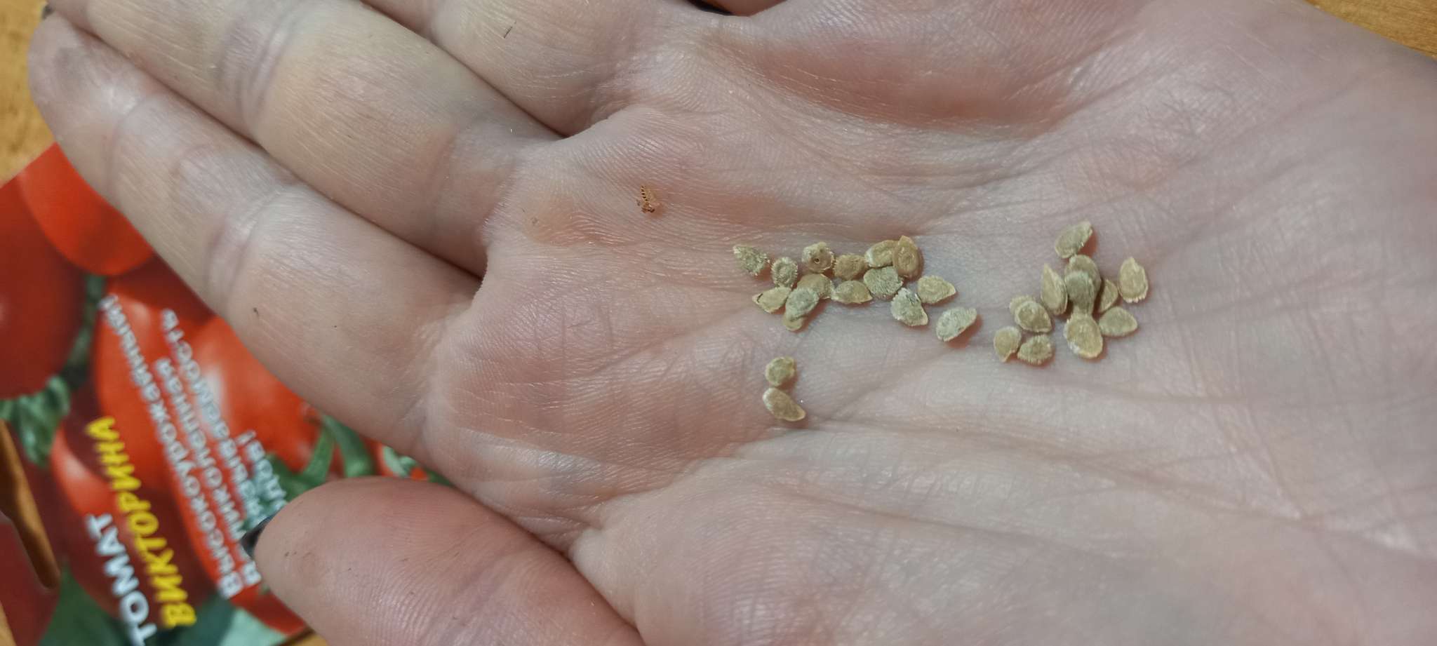 Фотография покупателя товара Семена Томат "Викторина", 20 шт - Фото 3